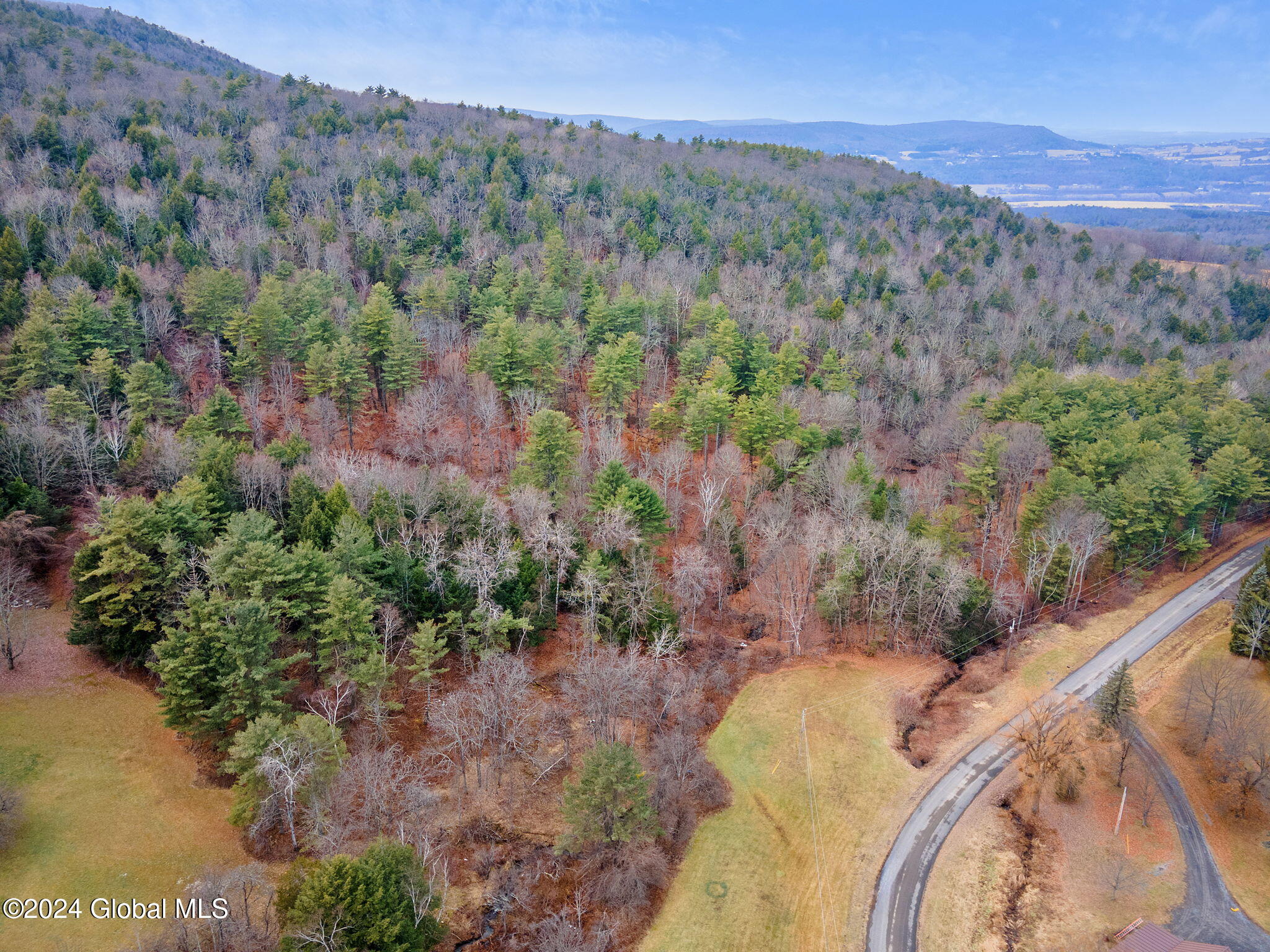 L18.1 Engle Road Schoharie, NY 12157 - Photo 6 of 39 14-00RalphEngleRd_14