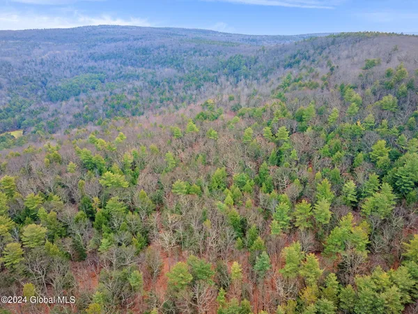 $499,900 | L18.1 Engle Road, Schoharie, NY 12157