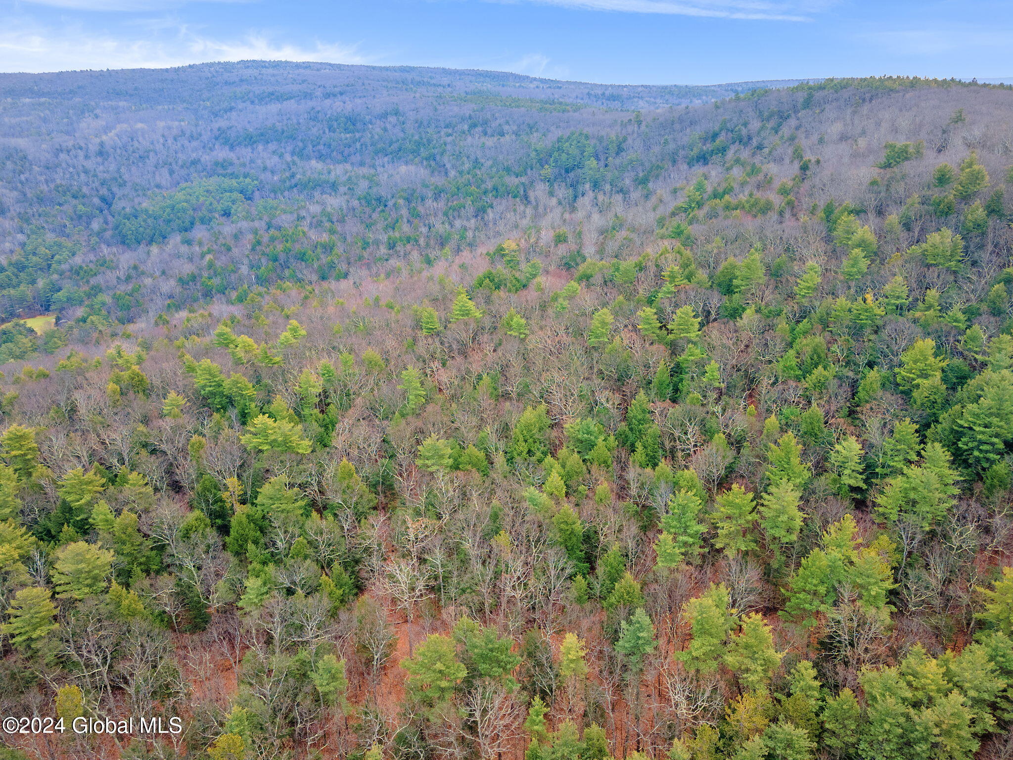 L18.1 Engle Road Schoharie, NY 12157 - Photo 7 of 39 9-00RalphEngleRd_09