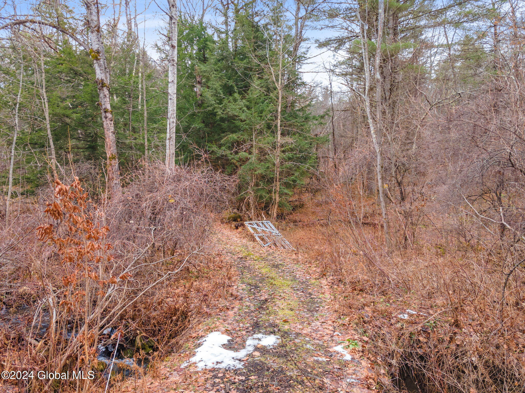 L18.1 Engle Road Schoharie, NY 12157 - Photo 9 of 39 3-00RalphEngleRd_03