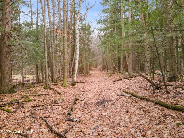 $499,900 | L18.1 Engle Road, Schoharie, NY 12157