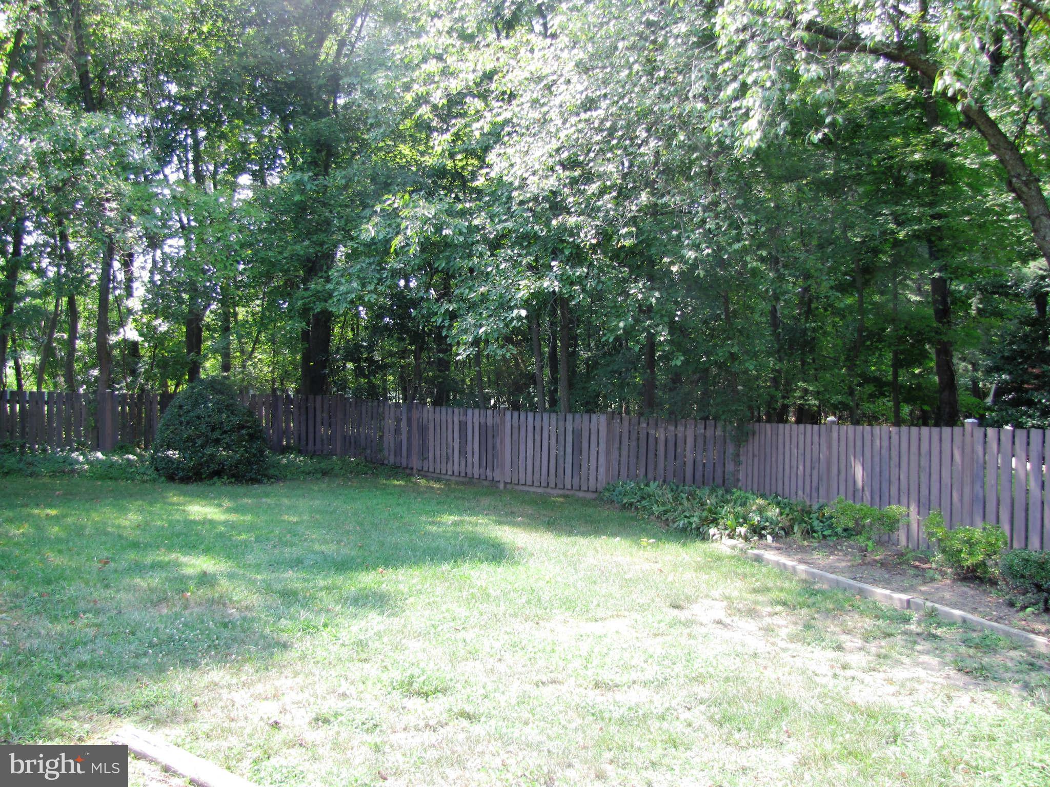 6106 Brooklyn Bridge Road Laurel, MD 20707 - Photo 21 of 26 Exterior (Rear)