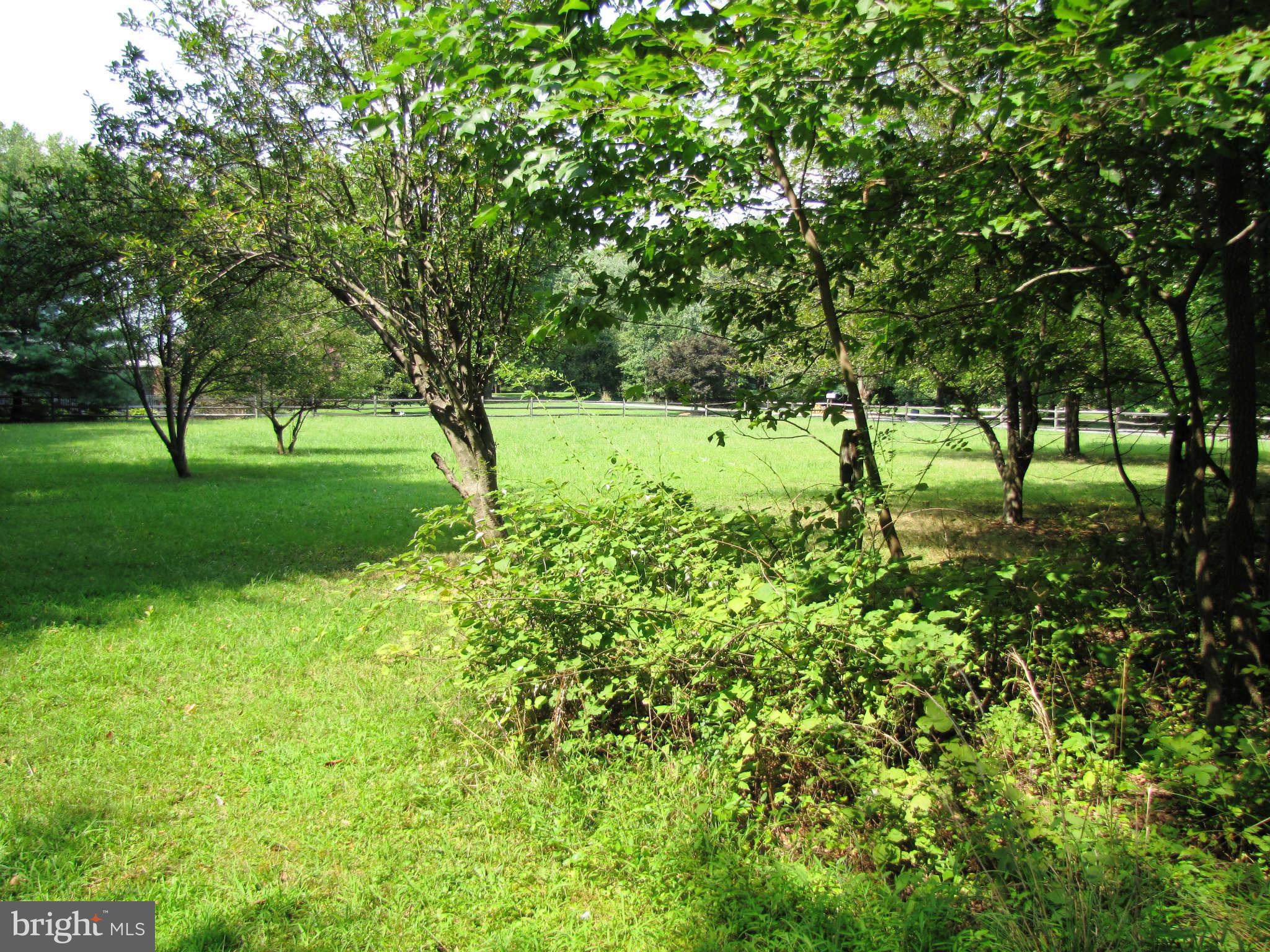6106 Brooklyn Bridge Road Laurel, MD 20707 - Photo 23 of 26 View