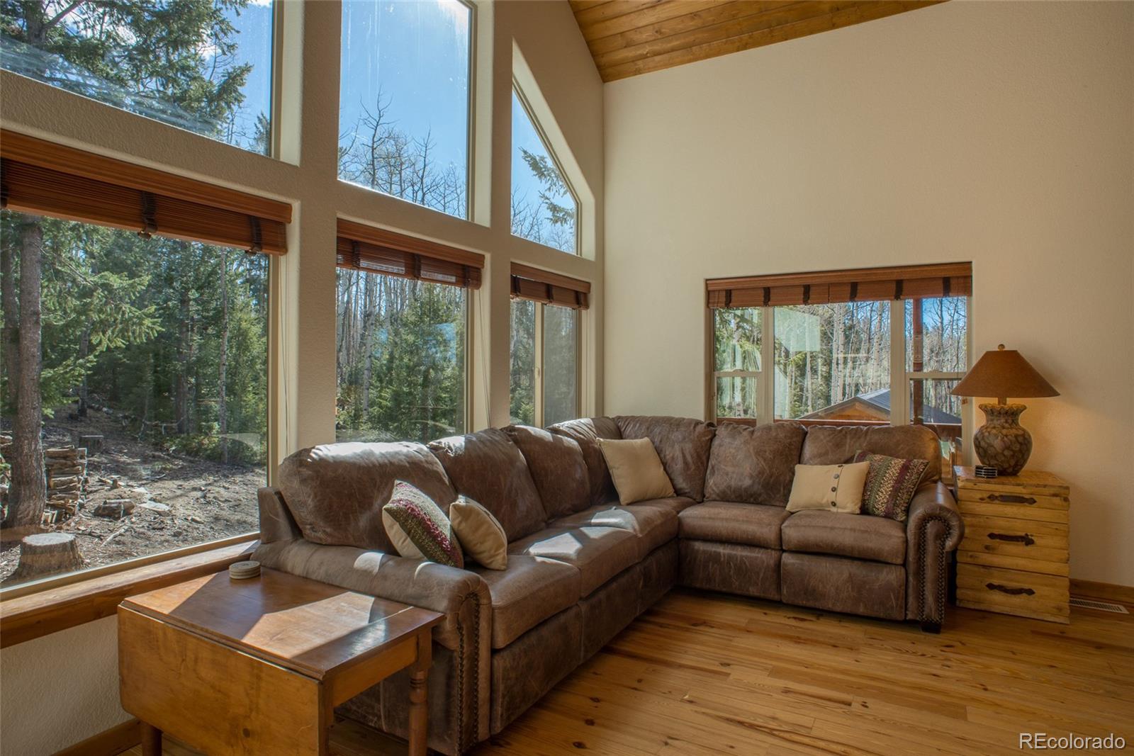 350 Blacksmith Road Hartsel, CO 80449 - Photo 8 of 35
