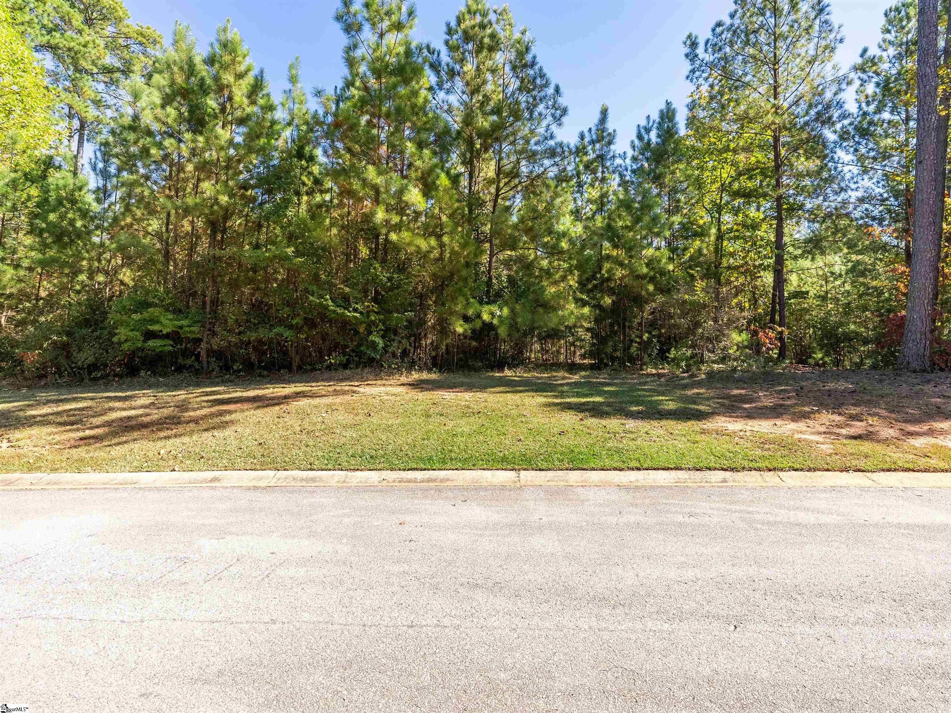 300 Northwind Court Salem, SC 29676 - Photo 8 of 9