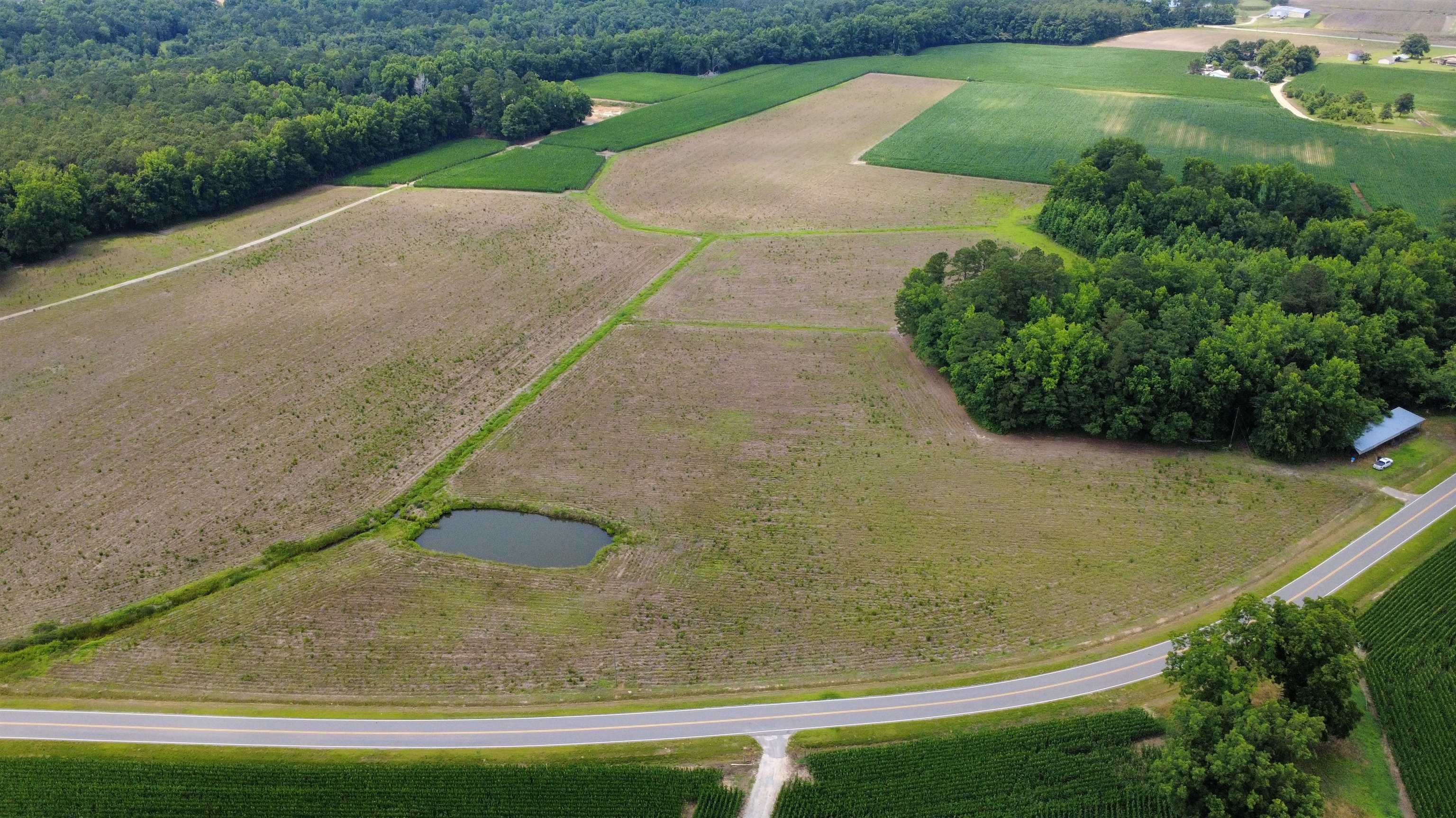 3 Long Branch Swamp Road Green Sea, SC 29545 - Photo 1 of 4