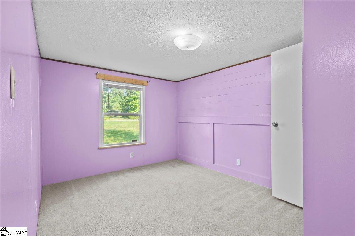 261 Horseshoe Falls Road Enoree, SC 29335 - Photo 21 of 31 Gallery Image 21