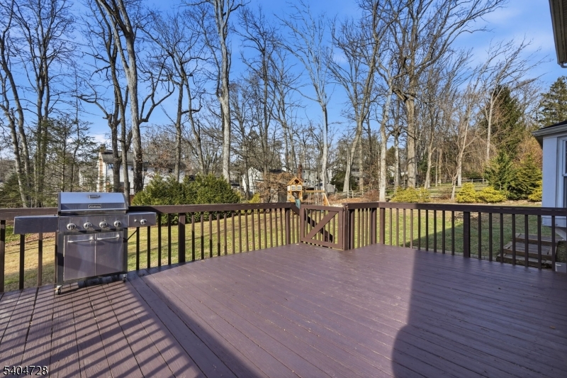 15 Southview Road Randolph, NJ 07869 - Photo 35 of 39 not sure