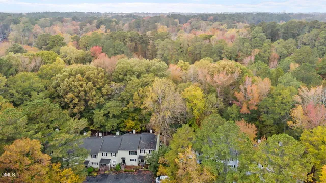 a view of a yard with plants and large trees