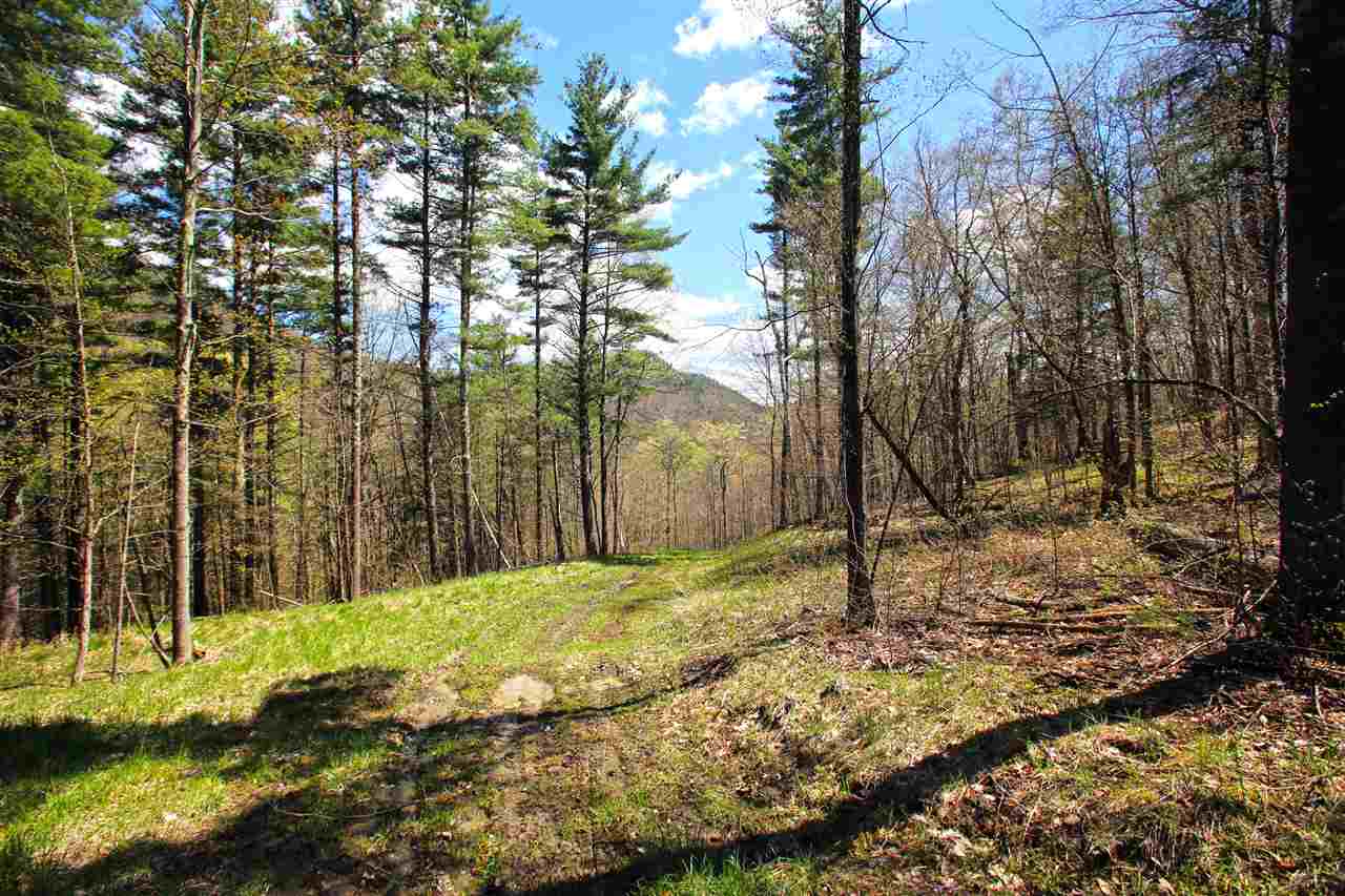 1631 Saw Mill Hill Road Wells, VT 05774 - Photo 14 of 40 Gallery Image 14