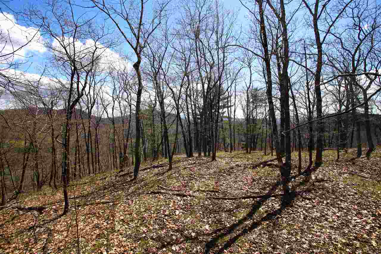 1631 Saw Mill Hill Road Wells, VT 05774 - Photo 22 of 40 Gallery Image 22