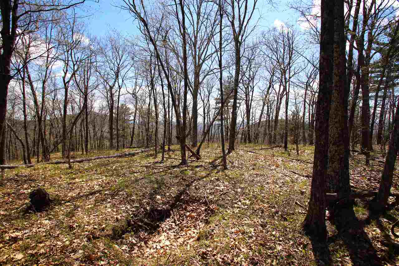 1631 Saw Mill Hill Road Wells, VT 05774 - Photo 23 of 40 Gallery Image 23