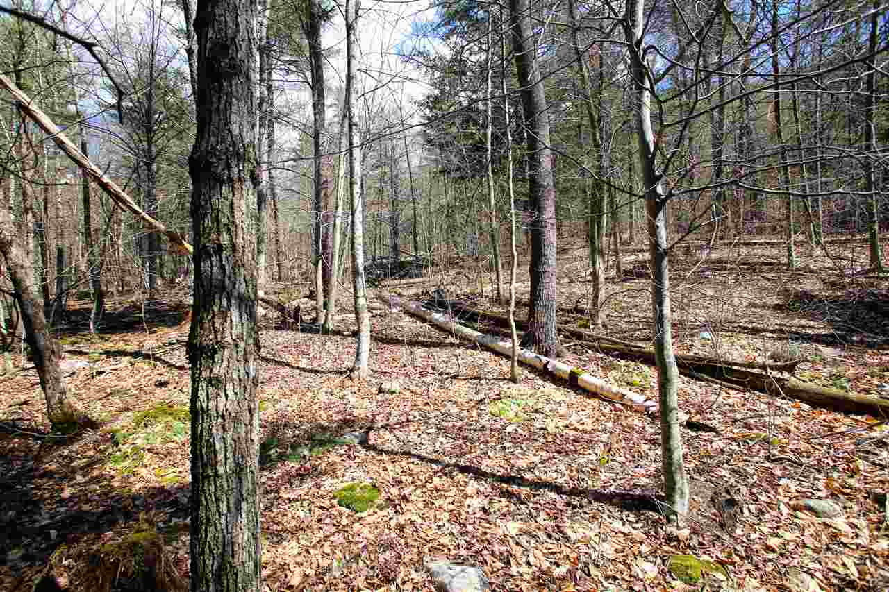 1631 Saw Mill Hill Road Wells, VT 05774 - Photo 29 of 40 Gallery Image 29