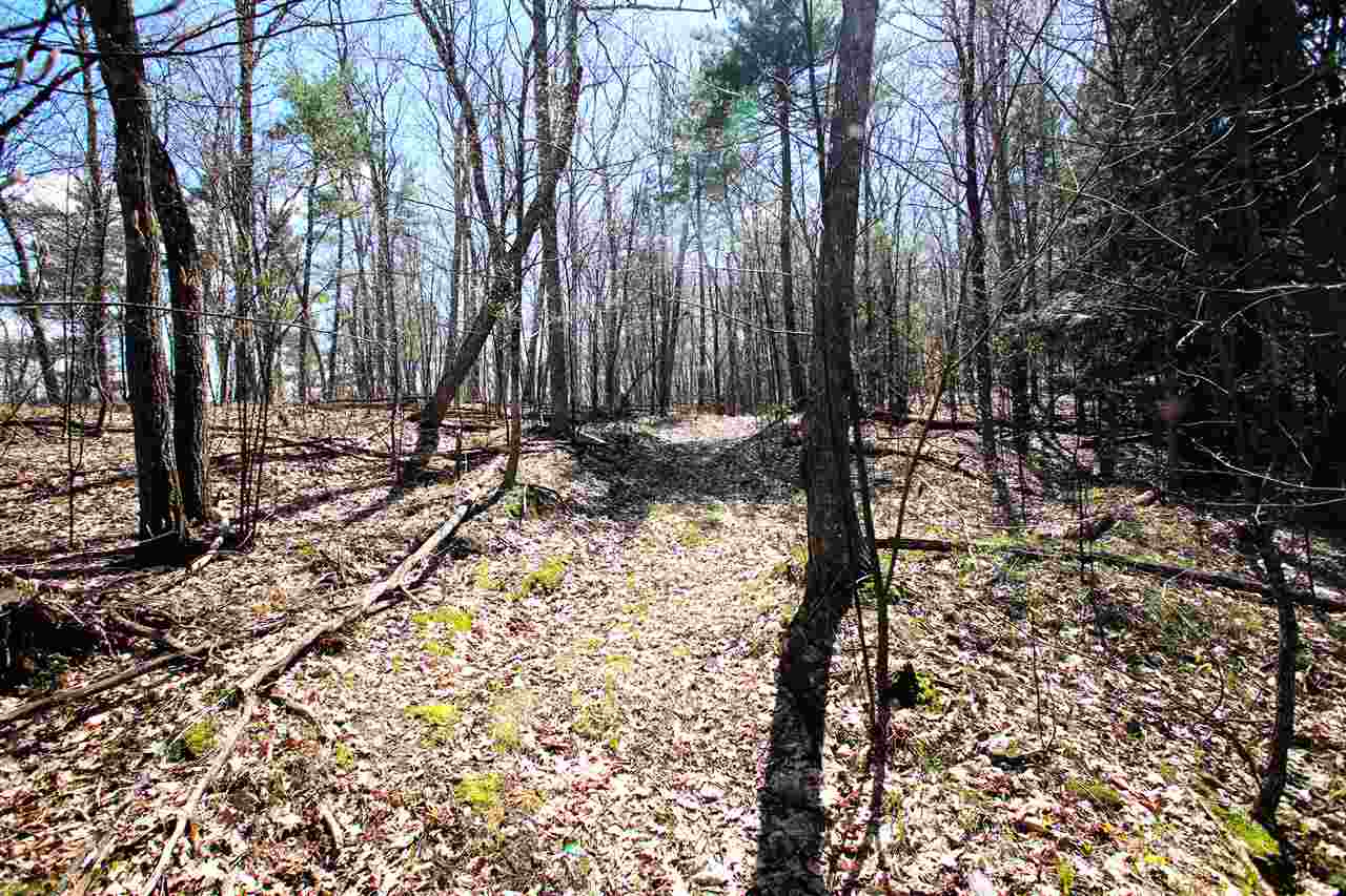1631 Saw Mill Hill Road Wells, VT 05774 - Photo 33 of 40 Gallery Image 33