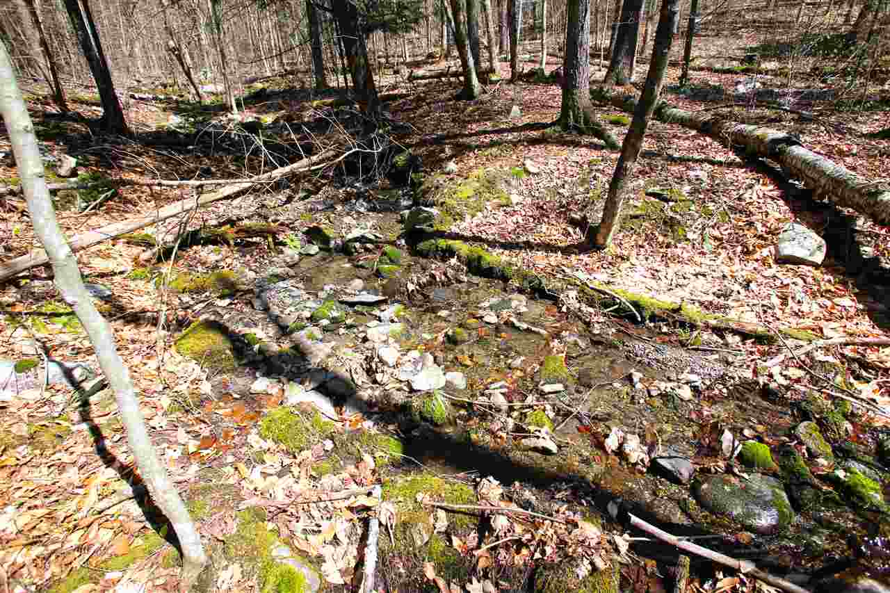 1631 Saw Mill Hill Road Wells, VT 05774 - Photo 34 of 40 Gallery Image 34