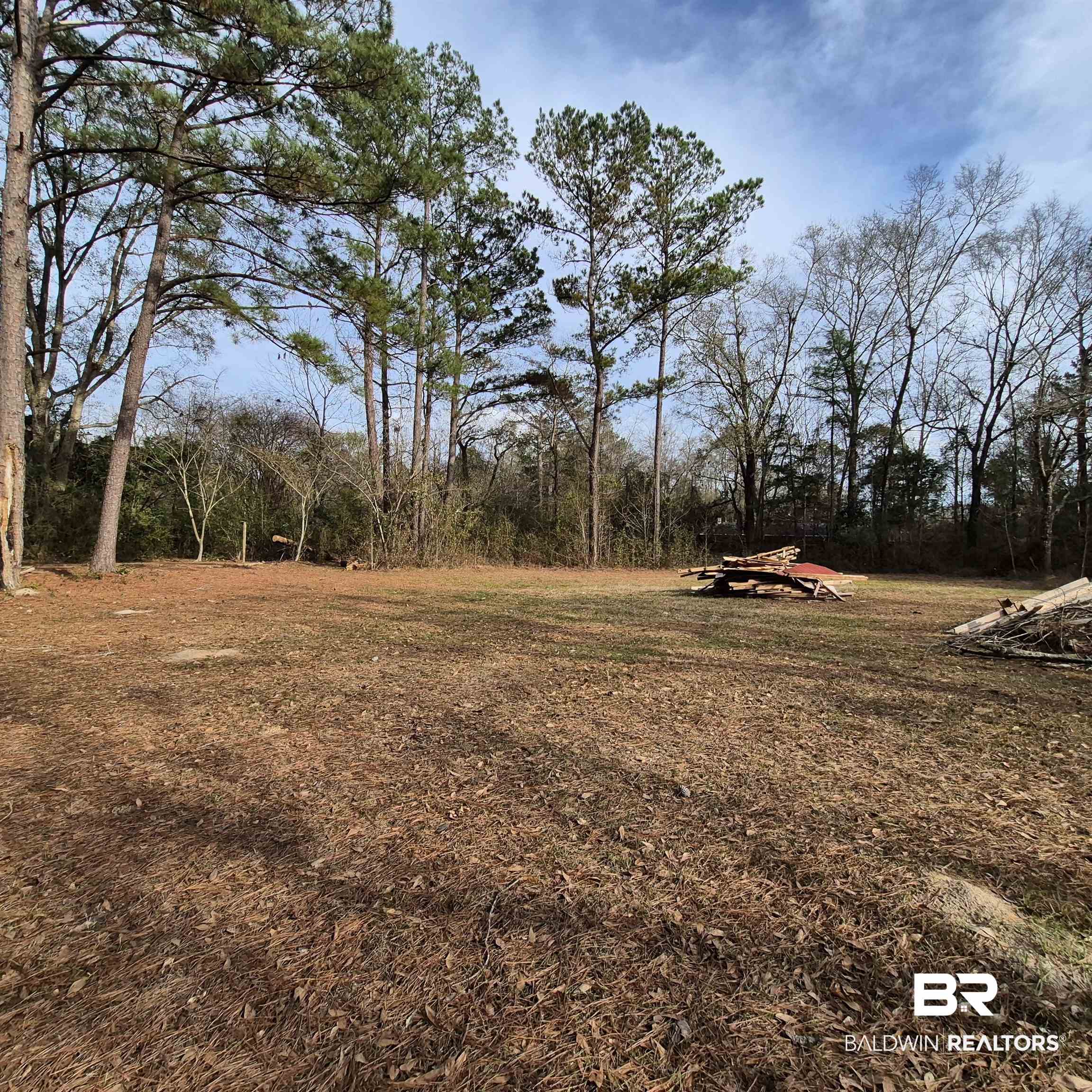 491 Forrest Avenue Castleberry, AL 36432 - Photo 28 of 33 View of yard