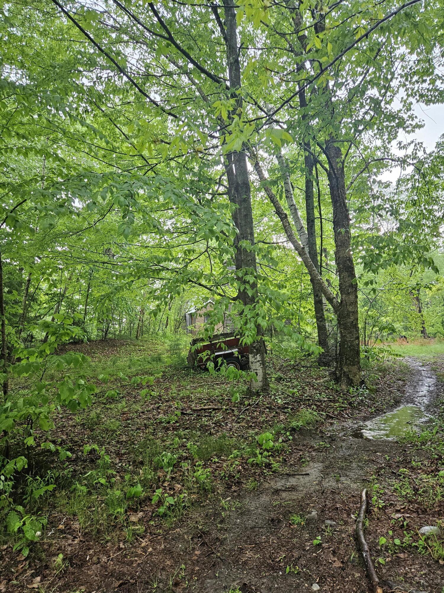 146 Karn Road Livermore Falls, ME 04254 - Photo 12 of 34 20240523_141314