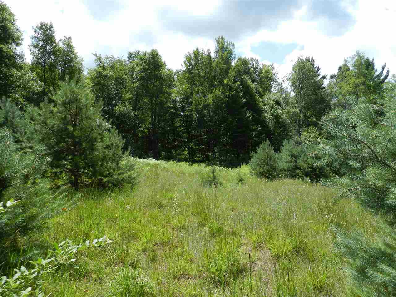 7529 Blue Road Southwest Fife Lake, MI 49633 - Photo 10 of 62 1865960-9.JPG