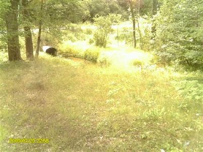 1810 Seaman Road Wellston, MI 49689 - Photo 4 of 12 Additional Photo