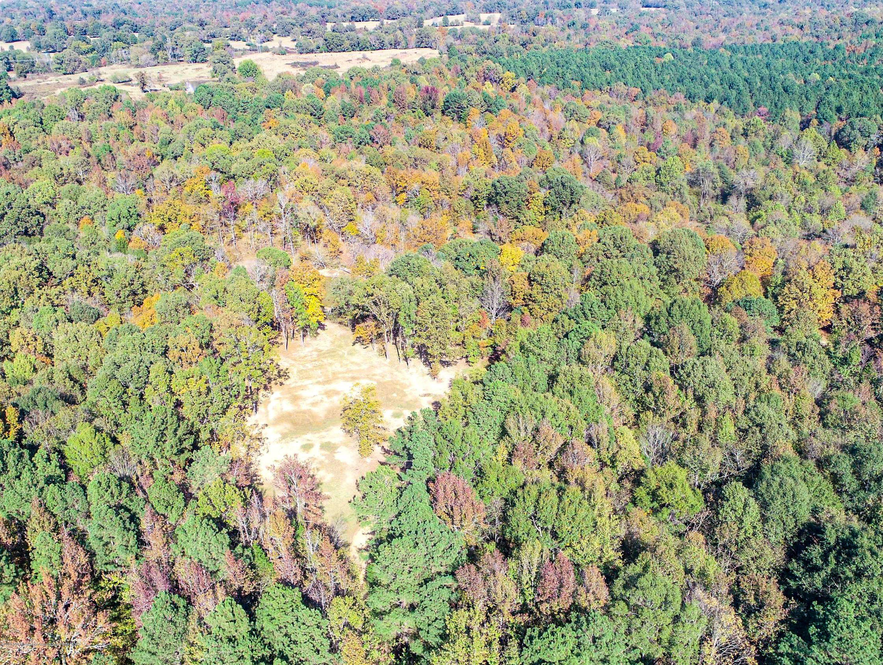 Xx Old Panola Road Sardis, MS 38666 - Photo 11 of 72 woldpan28
