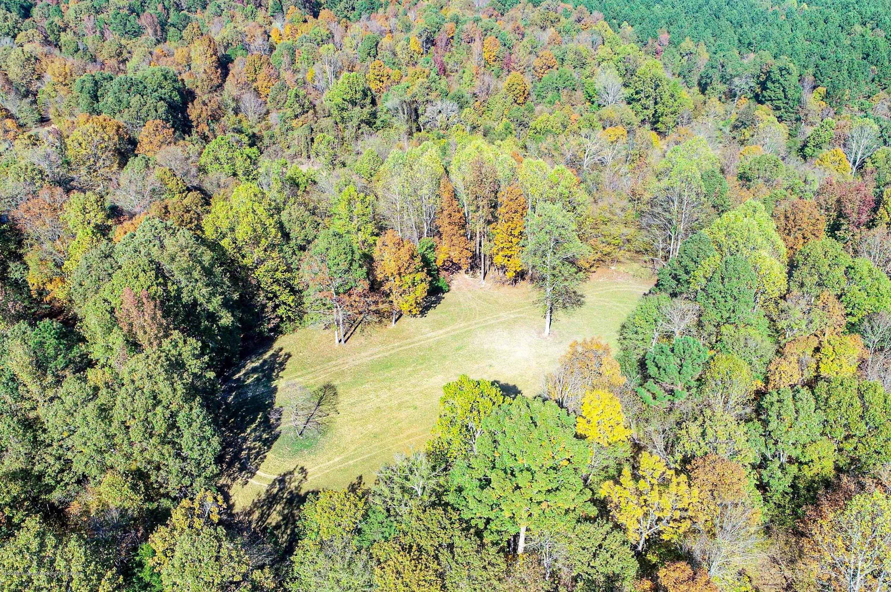 Xx Old Panola Road Sardis, MS 38666 - Photo 18 of 72 woldpan29.1