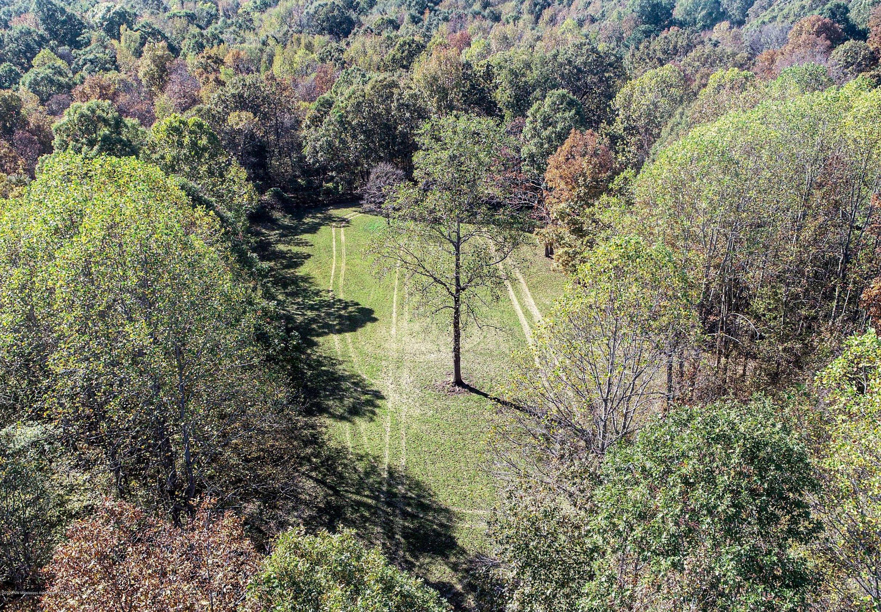 Xx Old Panola Road Sardis, MS 38666 - Photo 20 of 72 woldpan31