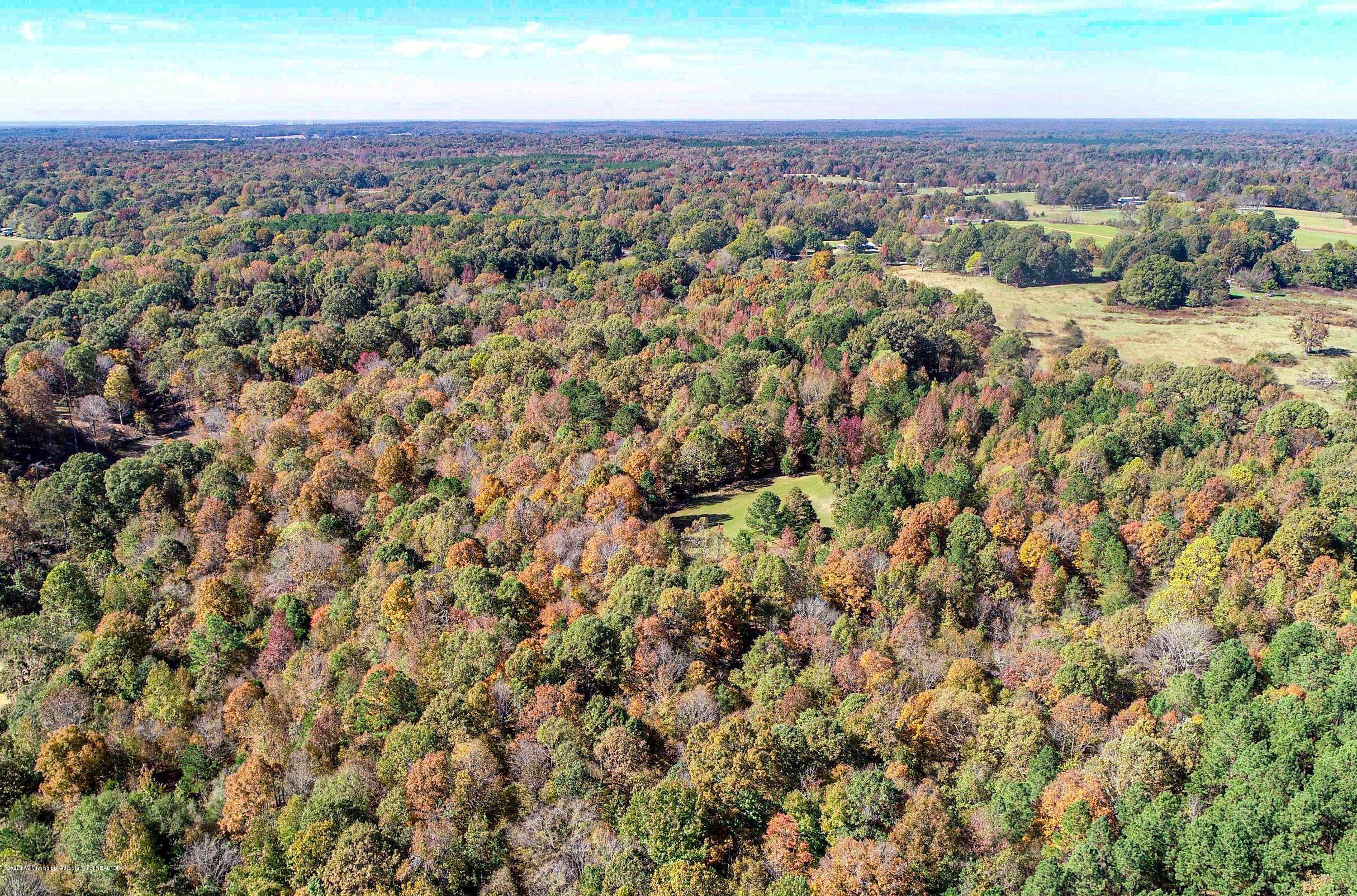 Xx Old Panola Road Sardis, MS 38666 - Photo 24 of 72 woldpan37