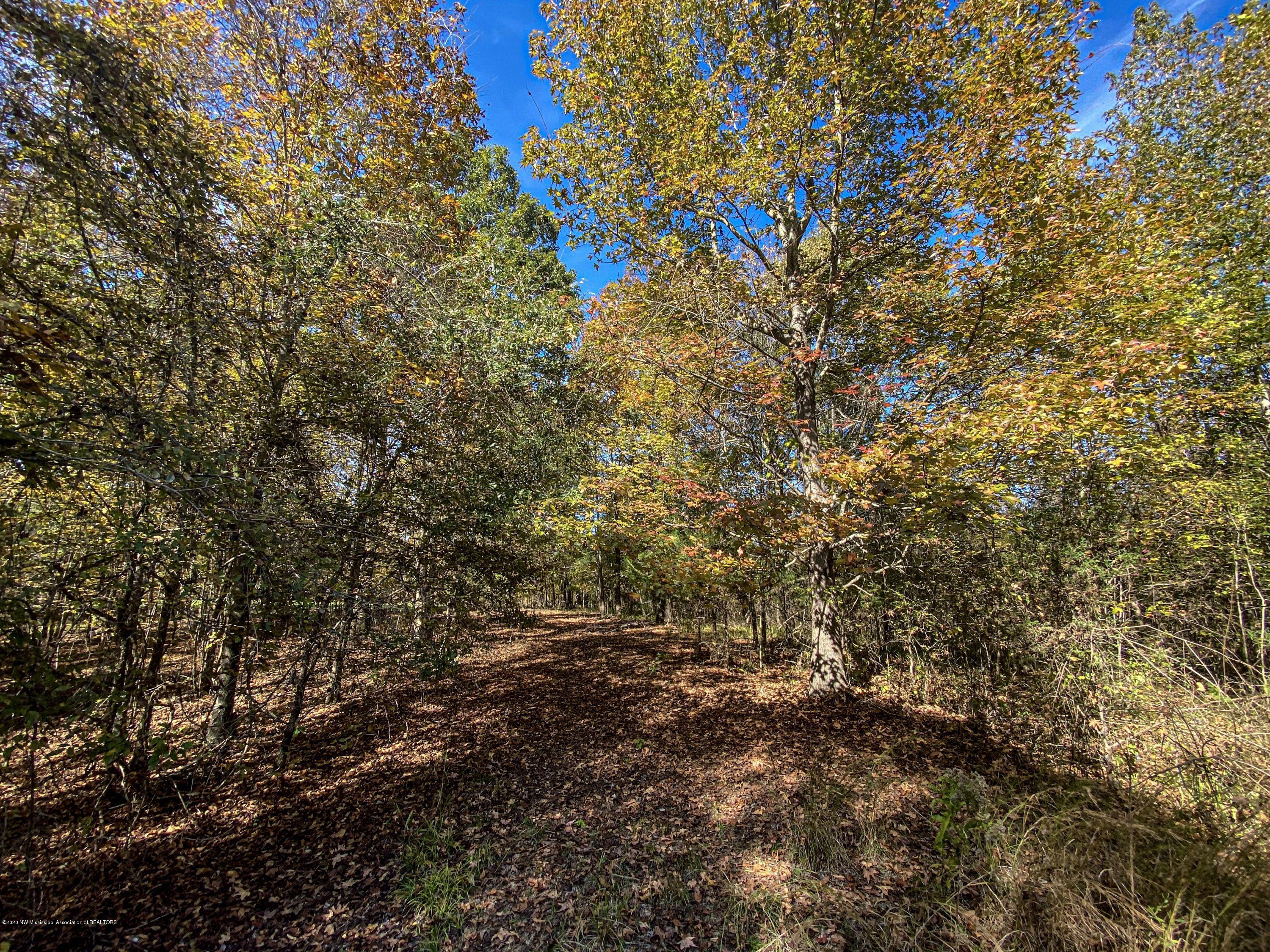 Xx Old Panola Road Sardis, MS 38666 - Photo 30 of 72 woldpan46