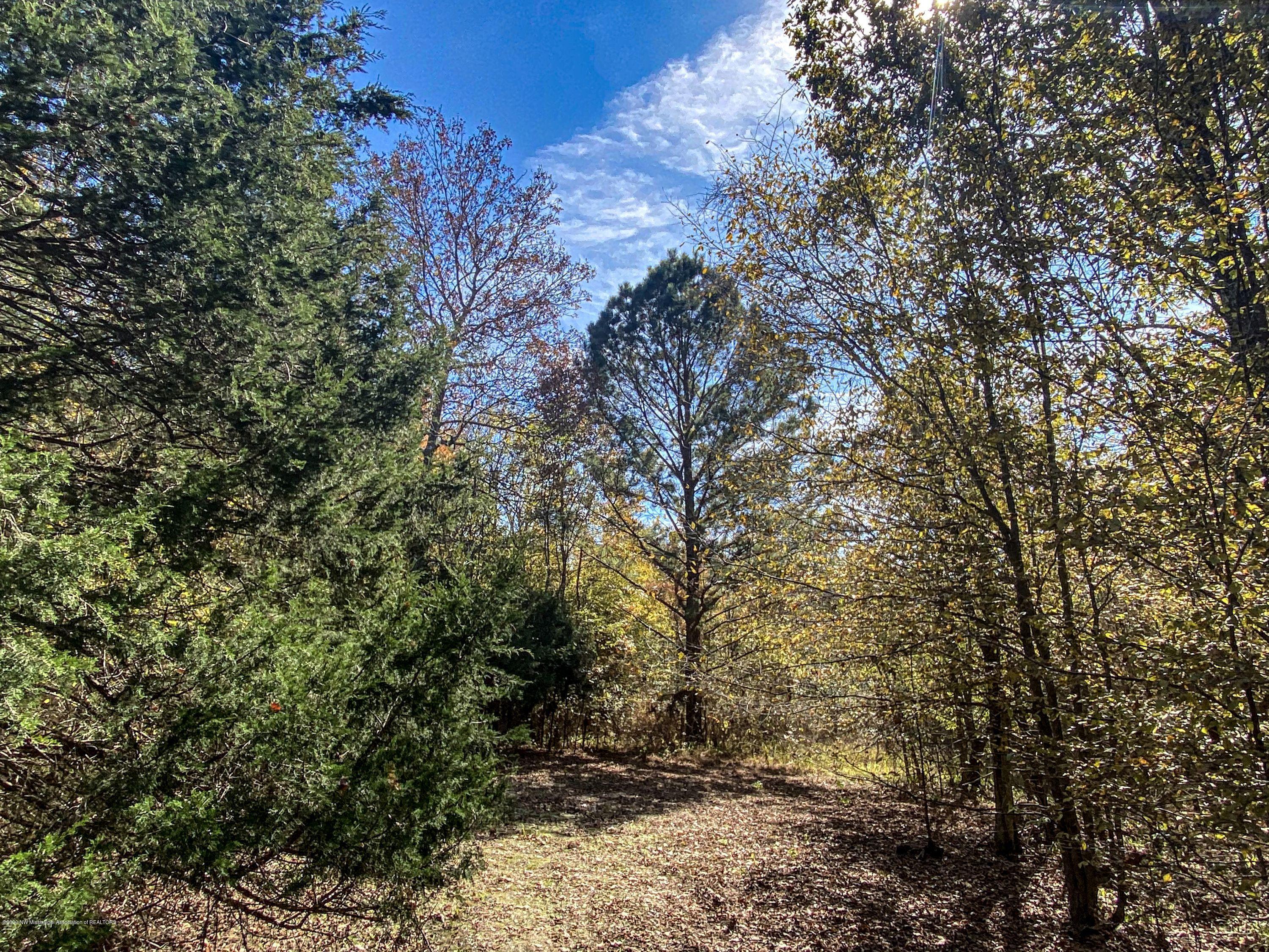Xx Old Panola Road Sardis, MS 38666 - Photo 31 of 72 woldpan48