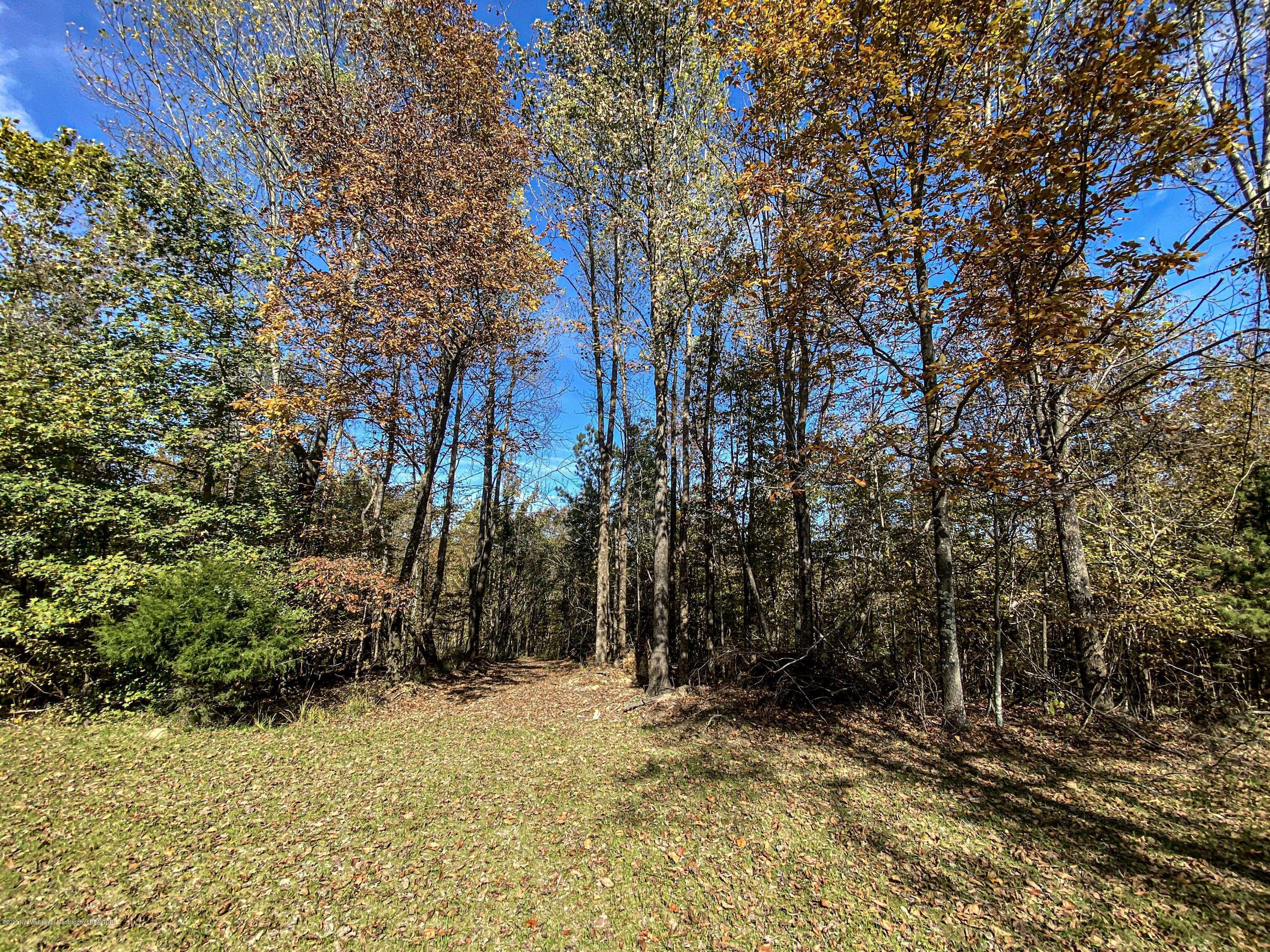 Xx Old Panola Road Sardis, MS 38666 - Photo 33 of 72 woldpan50