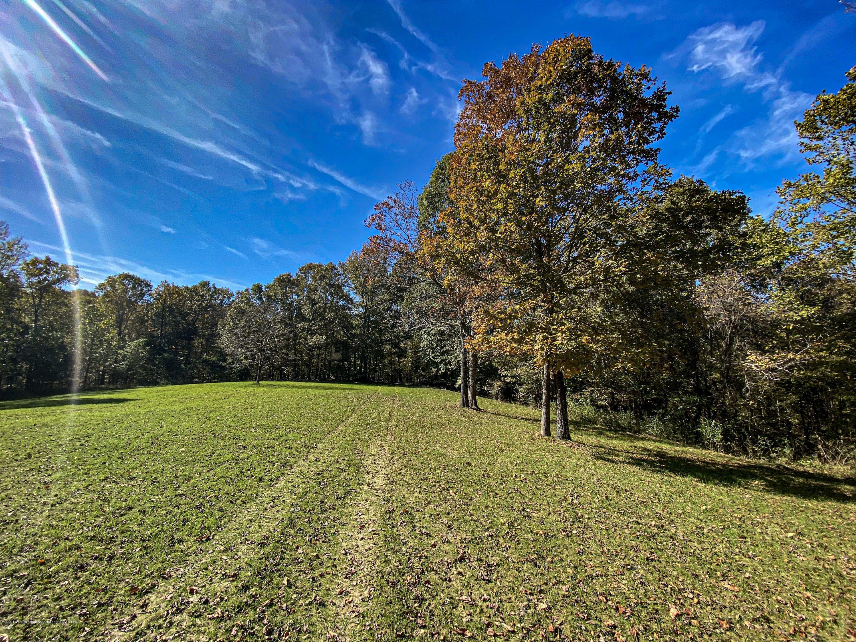 Xx Old Panola Road Sardis, MS 38666 - Photo 34 of 72 woldpan51