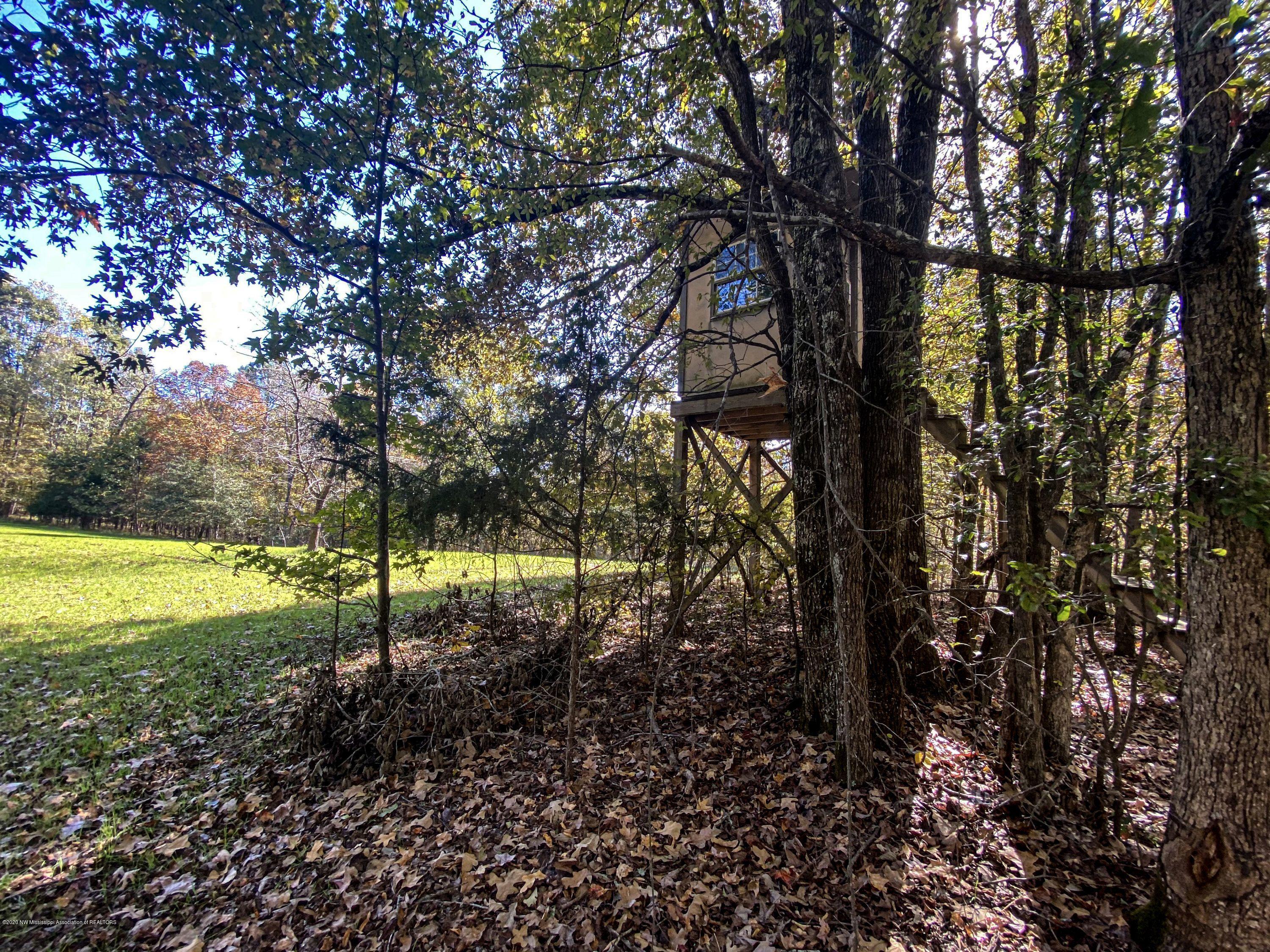 Xx Old Panola Road Sardis, MS 38666 - Photo 35 of 72 woldpan52