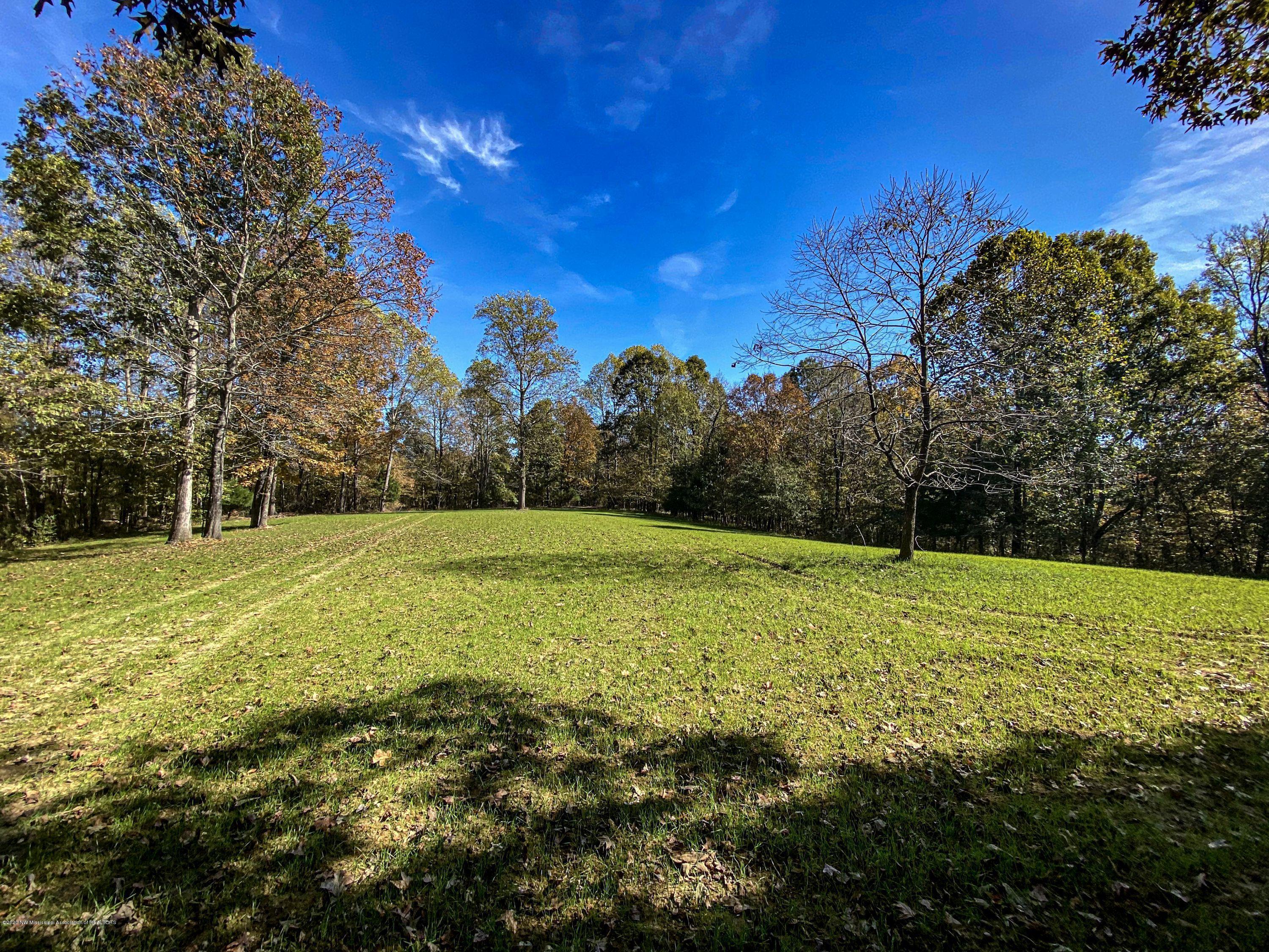 Xx Old Panola Road Sardis, MS 38666 - Photo 40 of 72 woldpan59