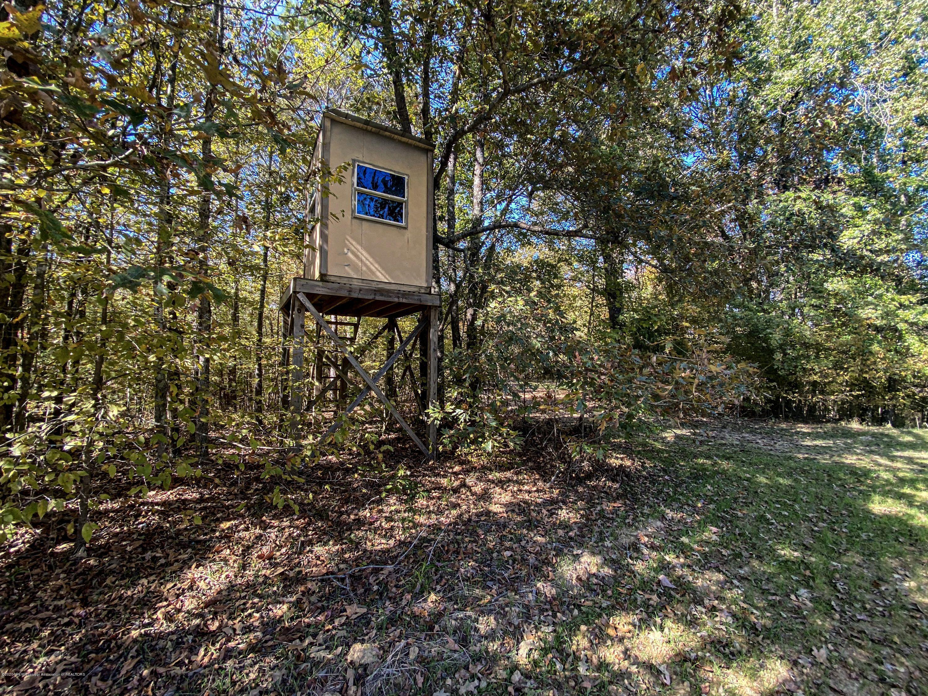 Xx Old Panola Road Sardis, MS 38666 - Photo 41 of 72 woldpan60