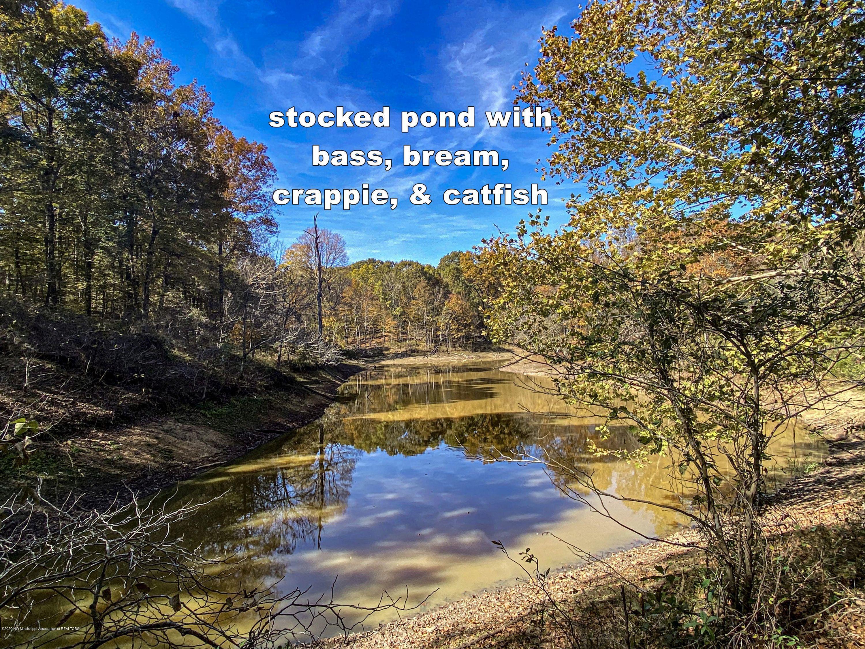 Xx Old Panola Road Sardis, MS 38666 - Photo 44 of 72 woldpan66