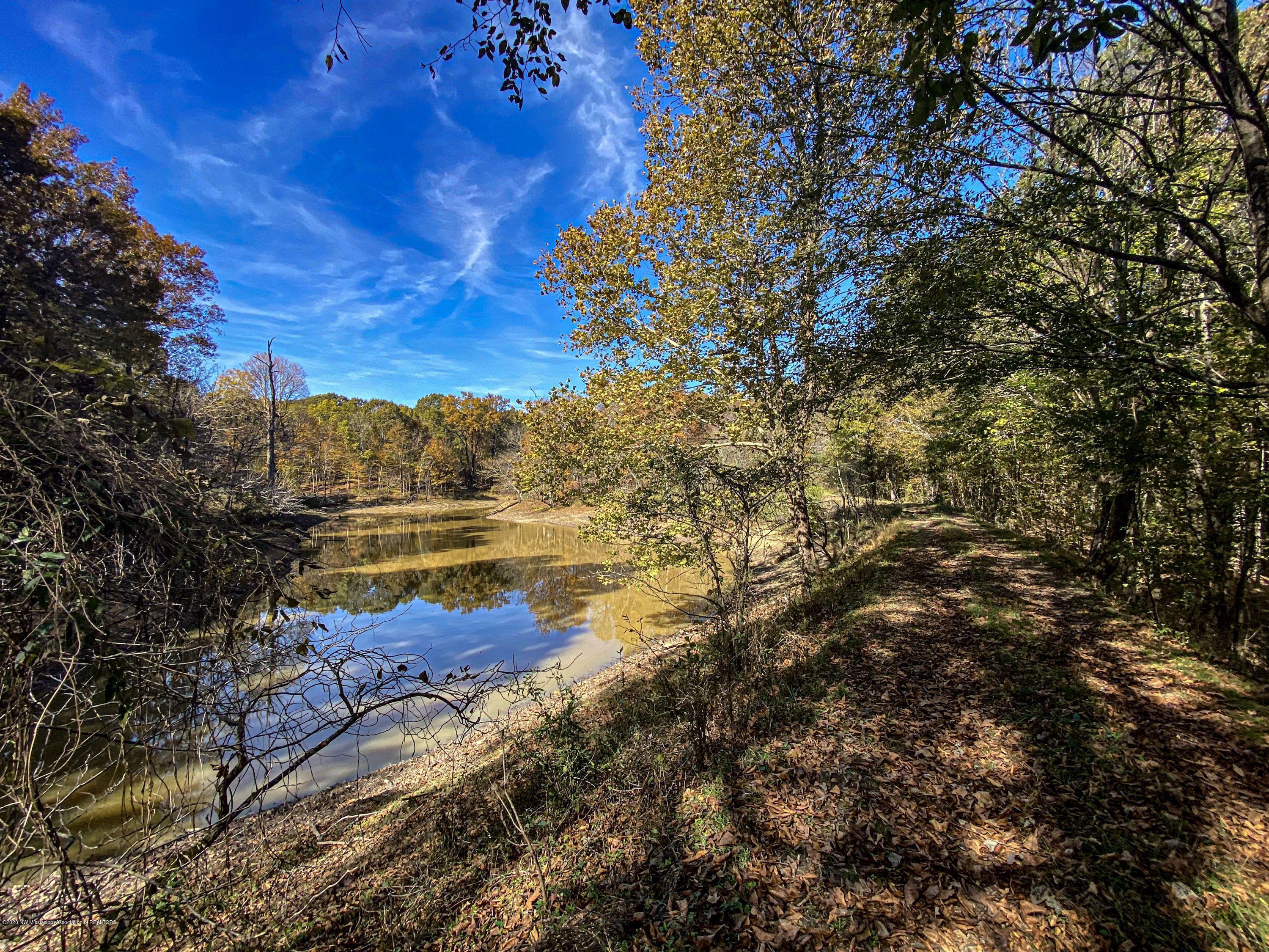 Xx Old Panola Road Sardis, MS 38666 - Photo 46 of 72 woldpan69