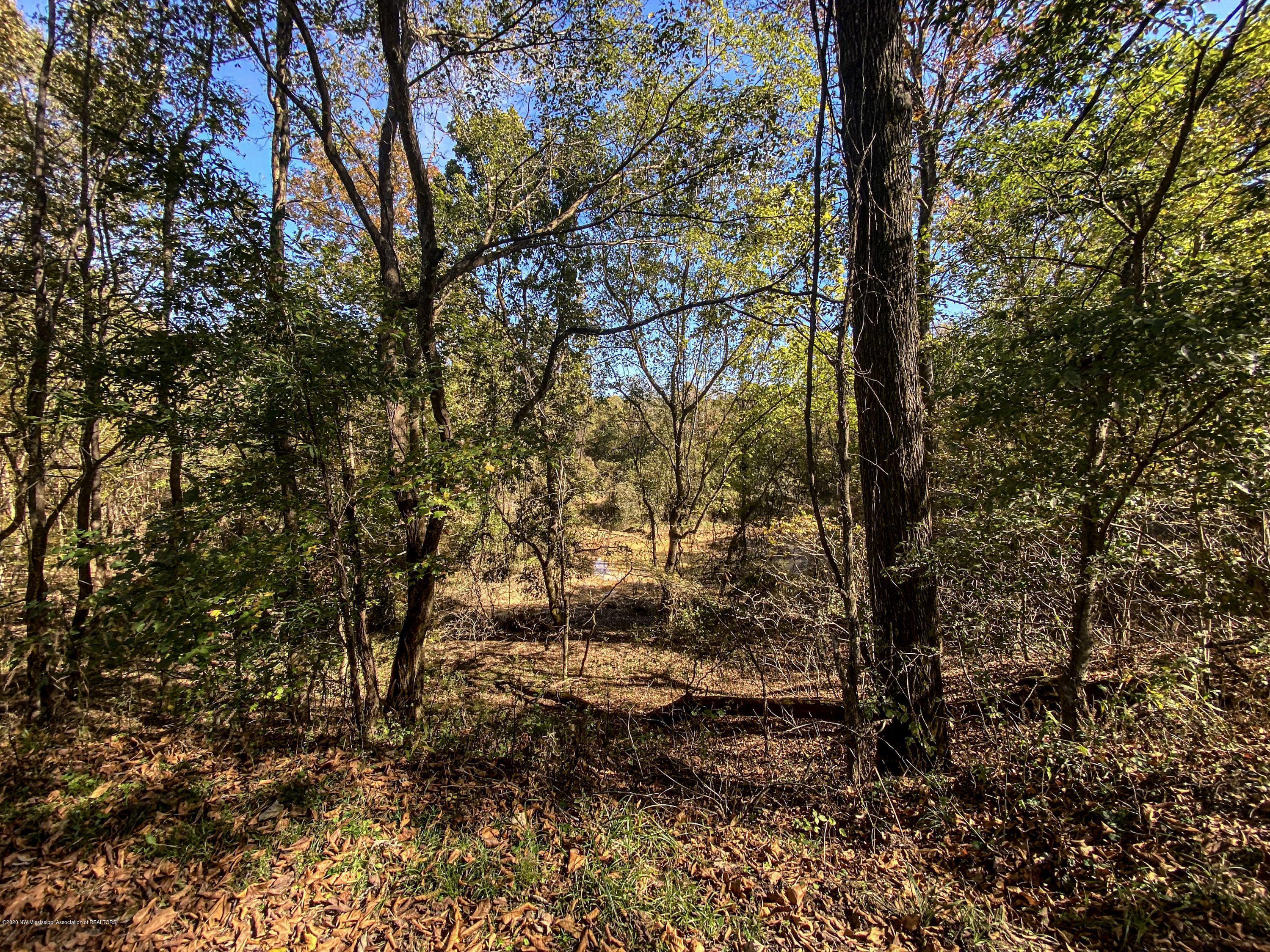 Xx Old Panola Road Sardis, MS 38666 - Photo 47 of 72 woldpan68