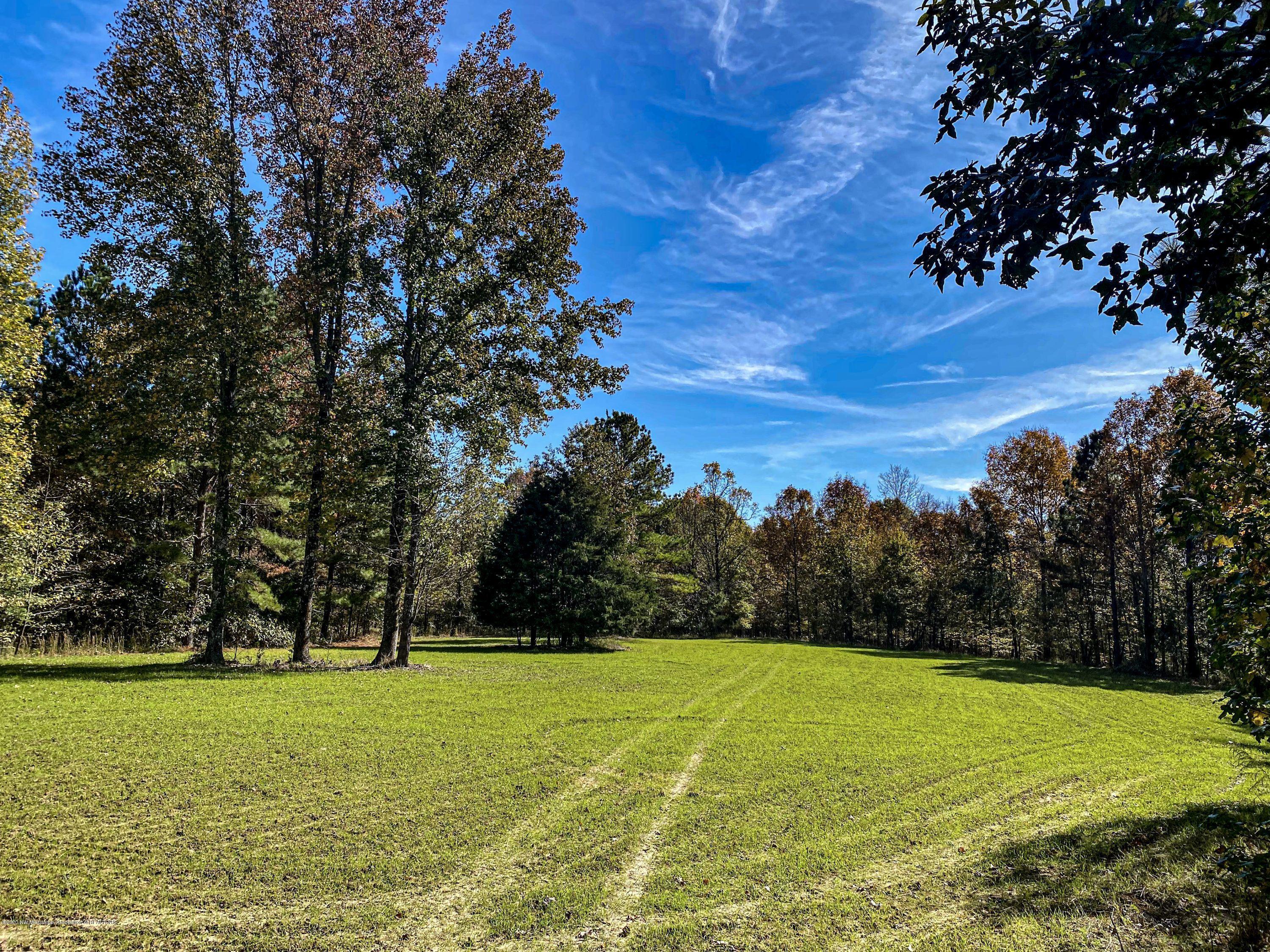 Xx Old Panola Road Sardis, MS 38666 - Photo 48 of 72 woldpan71