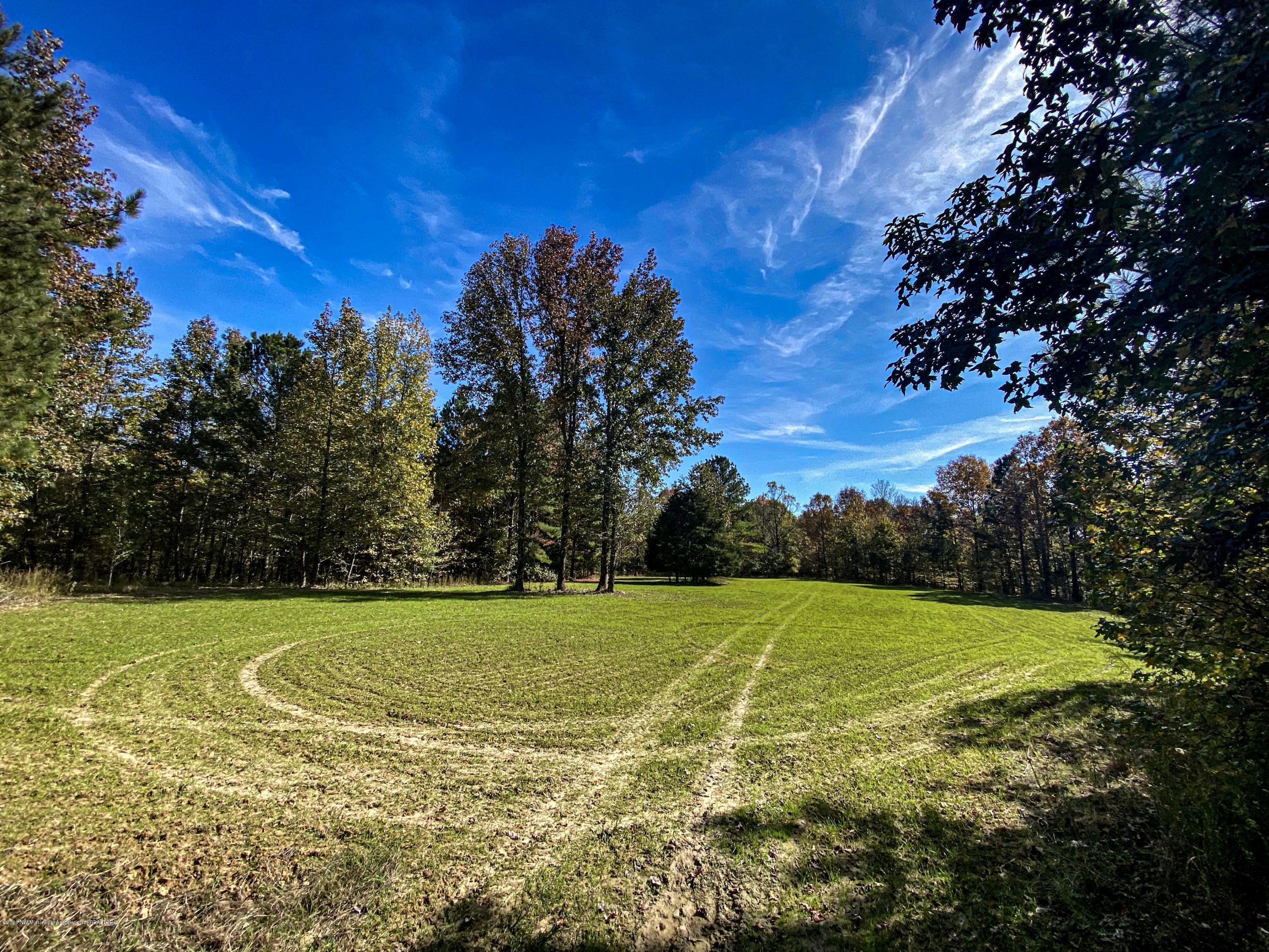 Xx Old Panola Road Sardis, MS 38666 - Photo 49 of 72 woldpan72