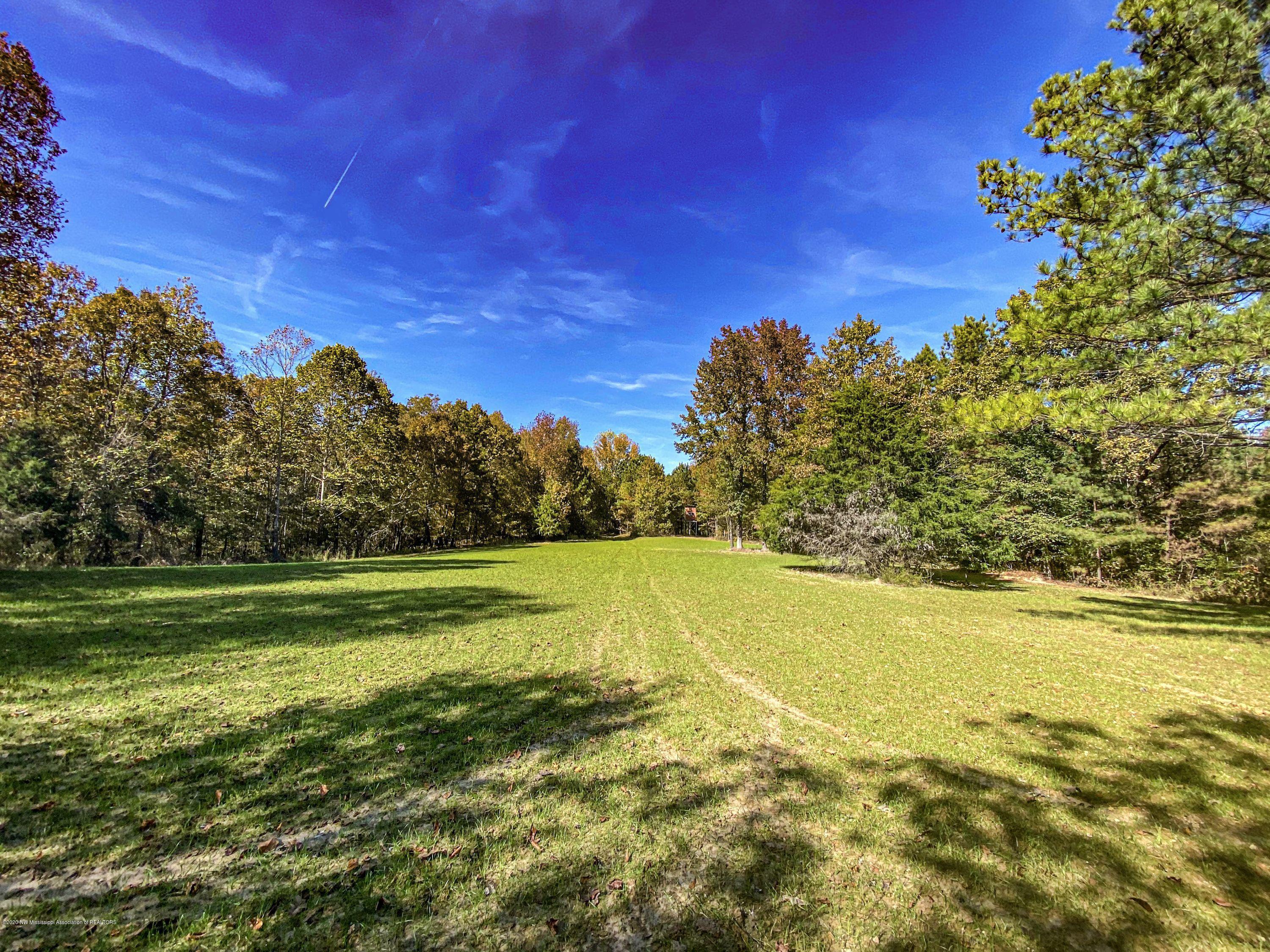 Xx Old Panola Road Sardis, MS 38666 - Photo 50 of 72 woldpan74