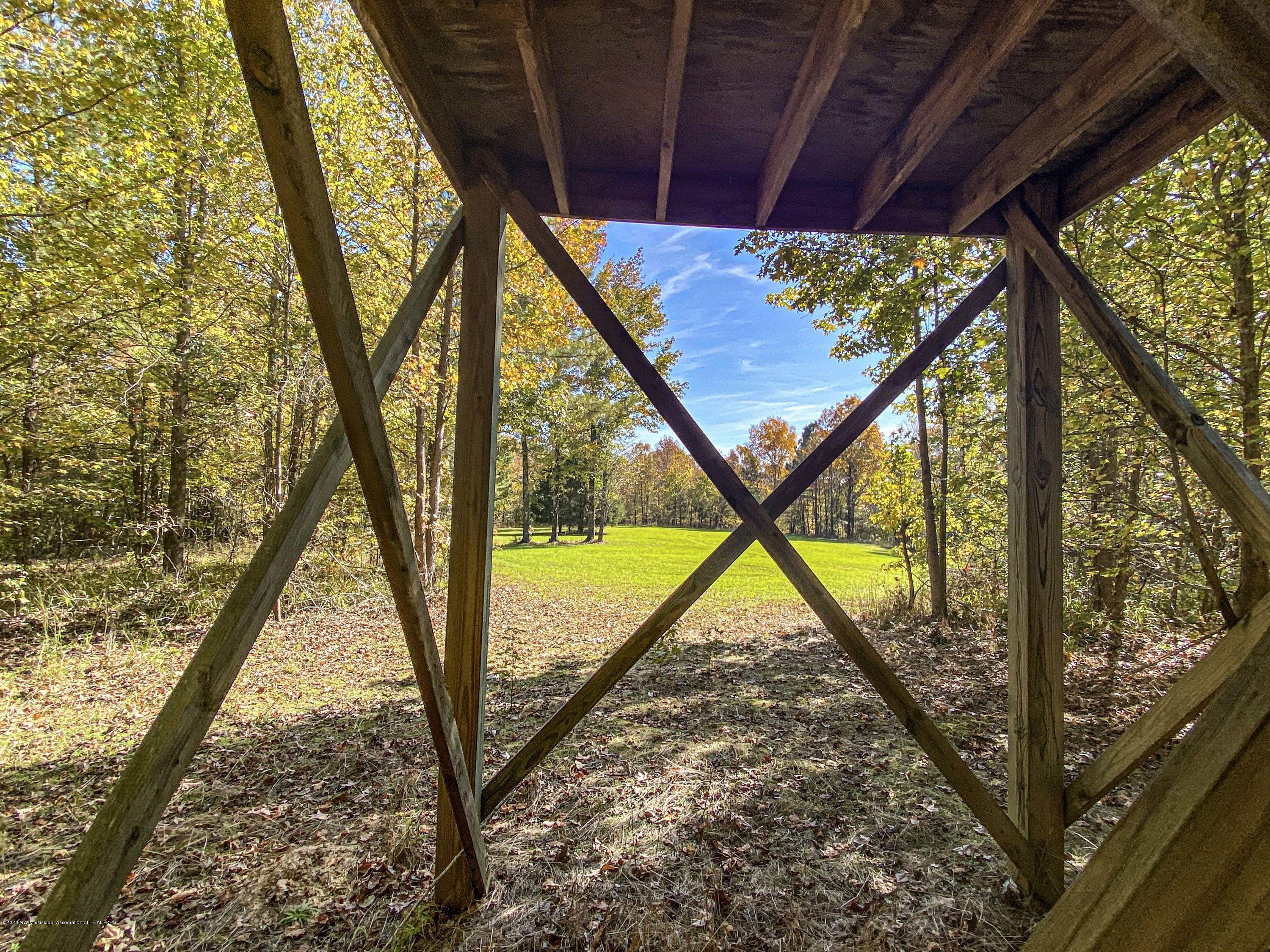 Xx Old Panola Road Sardis, MS 38666 - Photo 54 of 72 woldpan78