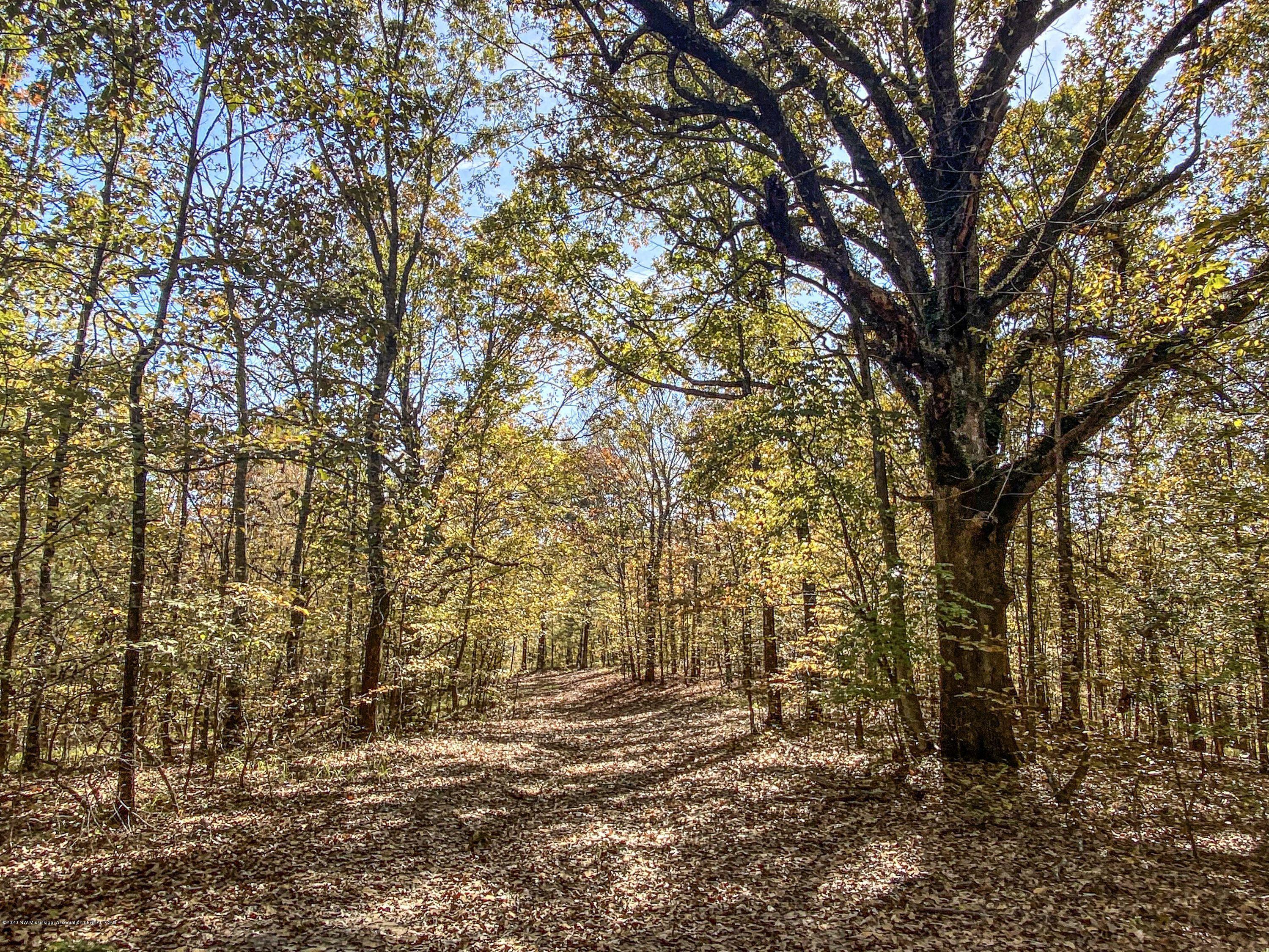 Xx Old Panola Road Sardis, MS 38666 - Photo 58 of 72 woldpan82