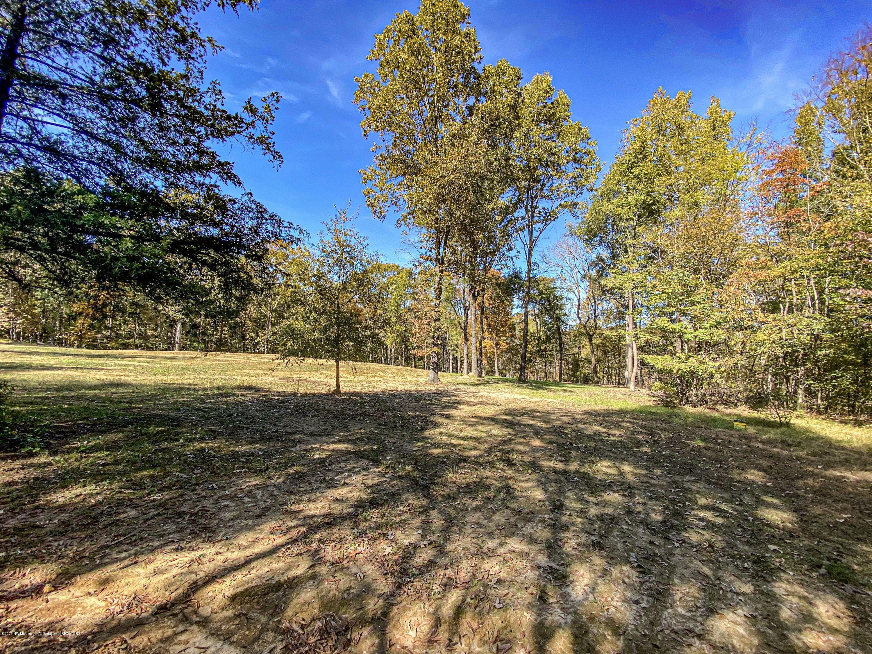 Xx Old Panola Road Sardis, MS 38666 - Photo 63 of 72 woldpan91