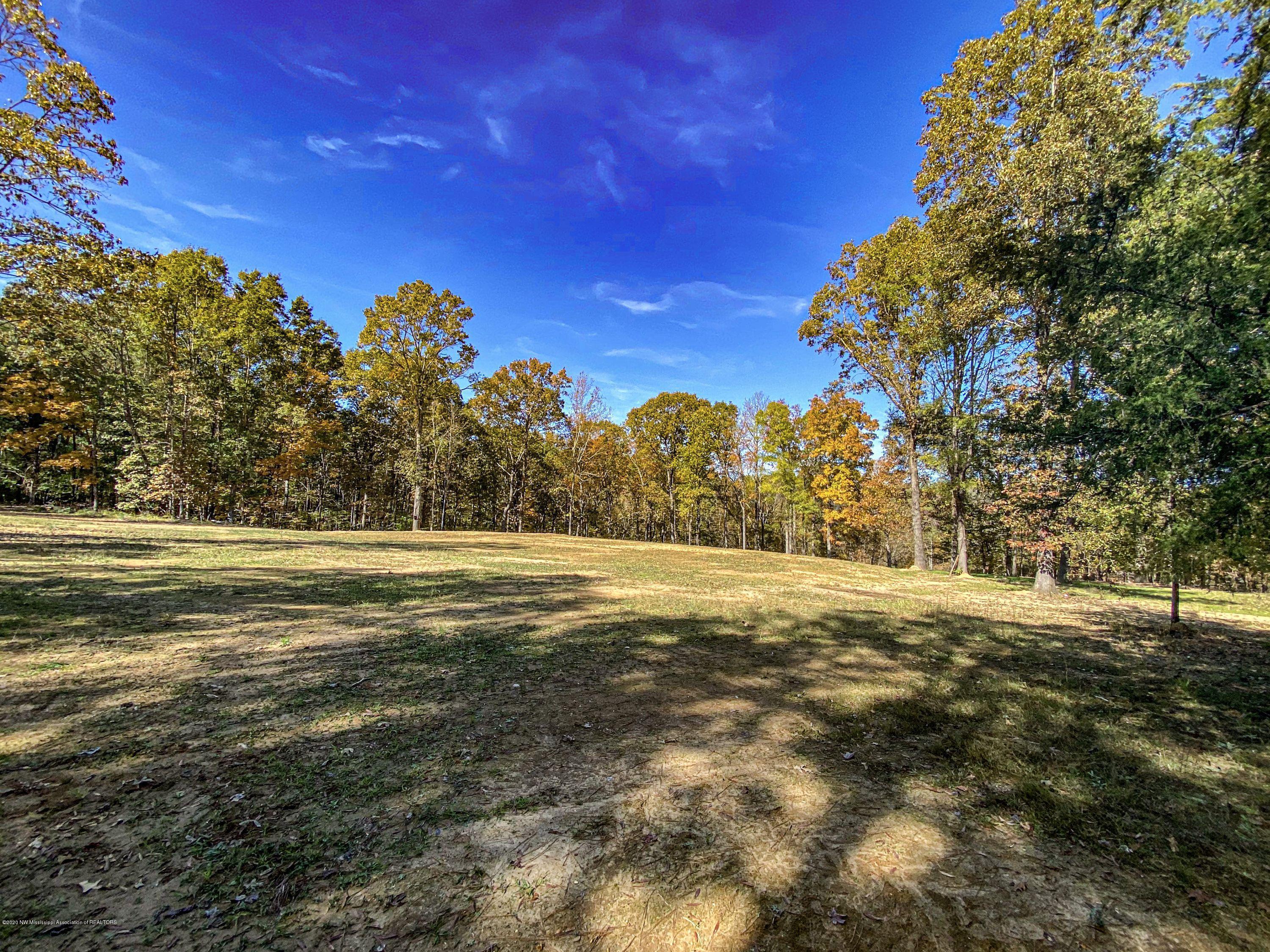 Xx Old Panola Road Sardis, MS 38666 - Photo 64 of 72 woldpan92