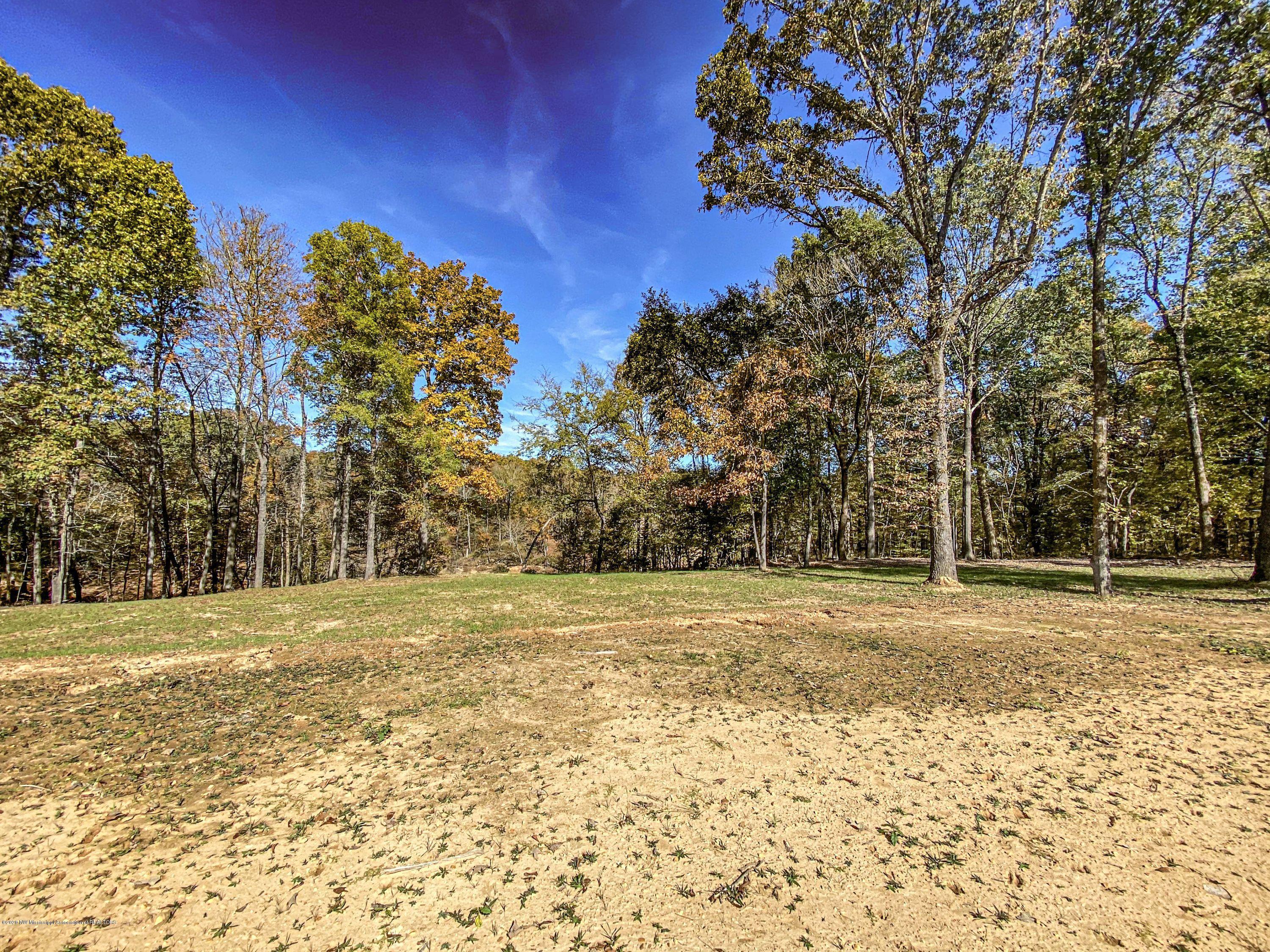 Xx Old Panola Road Sardis, MS 38666 - Photo 65 of 72 woldpan93