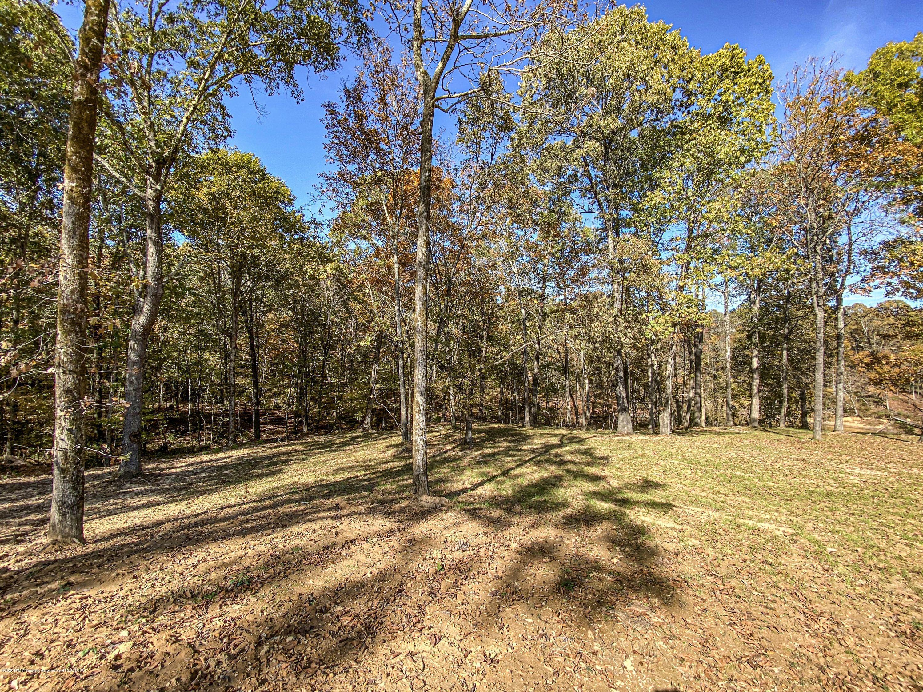 Xx Old Panola Road Sardis, MS 38666 - Photo 66 of 72 woldpan102