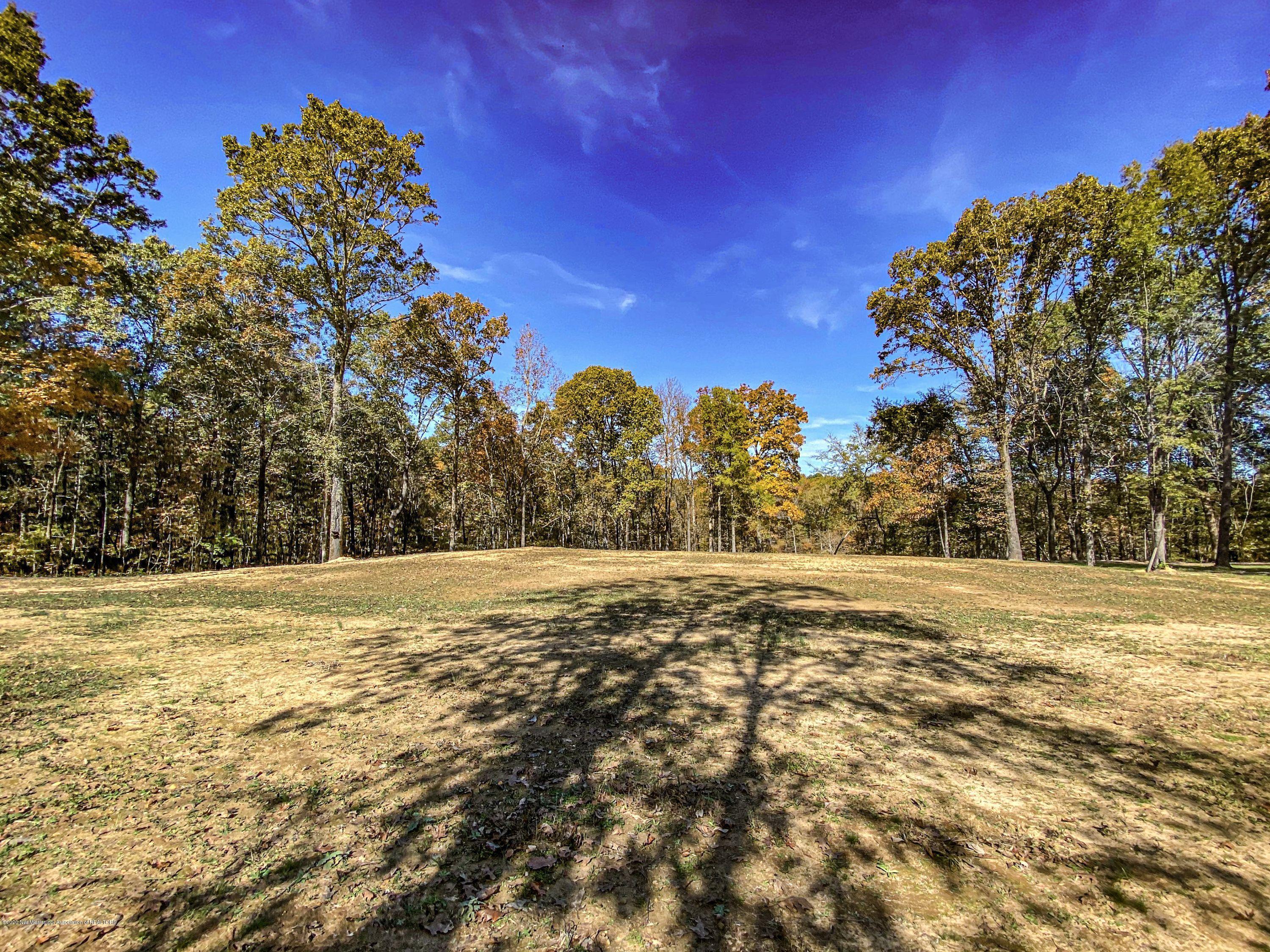 Xx Old Panola Road Sardis, MS 38666 - Photo 67 of 72 woldpan105