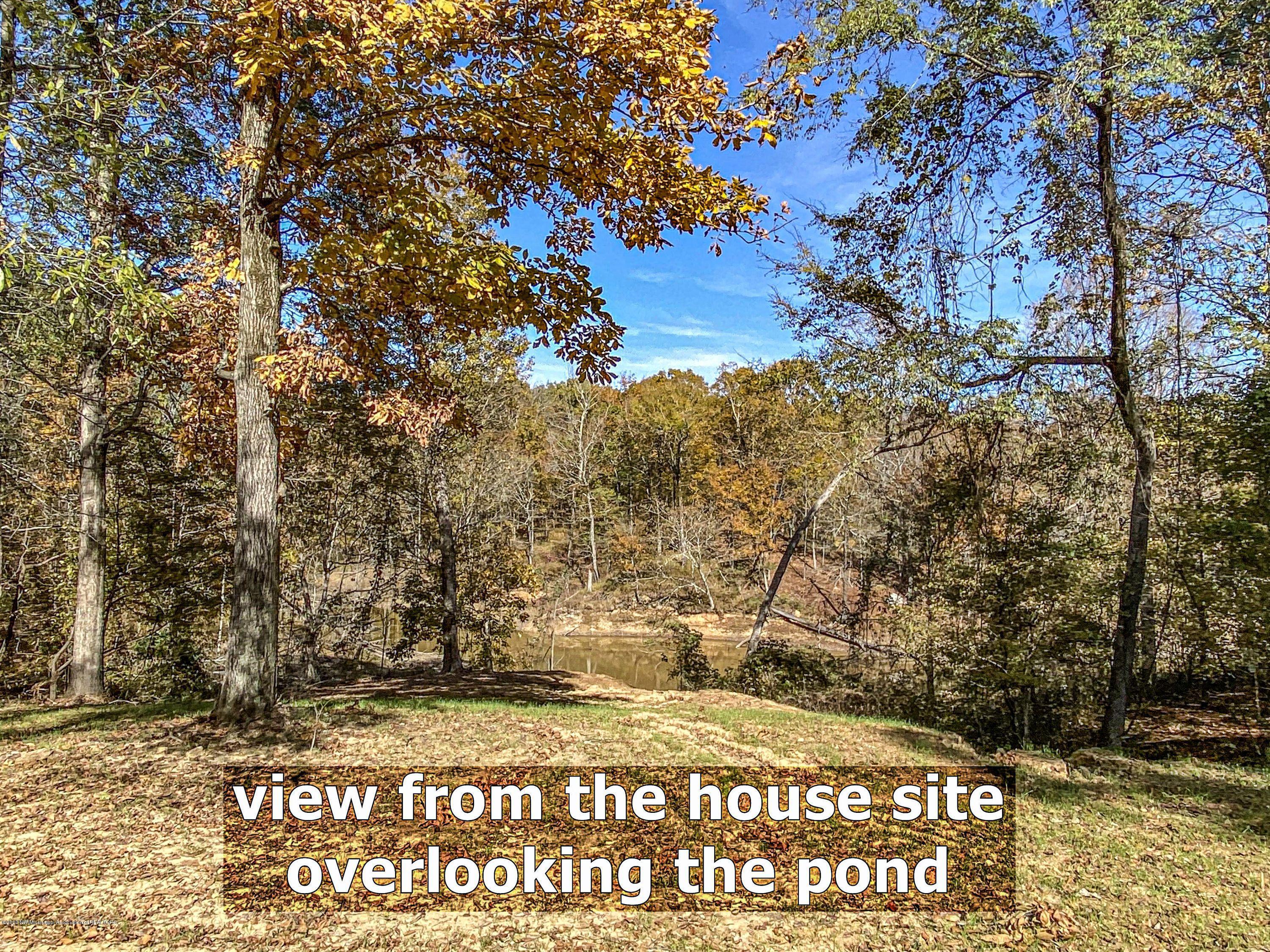 Xx Old Panola Road Sardis, MS 38666 - Photo 68 of 72 woldpan94