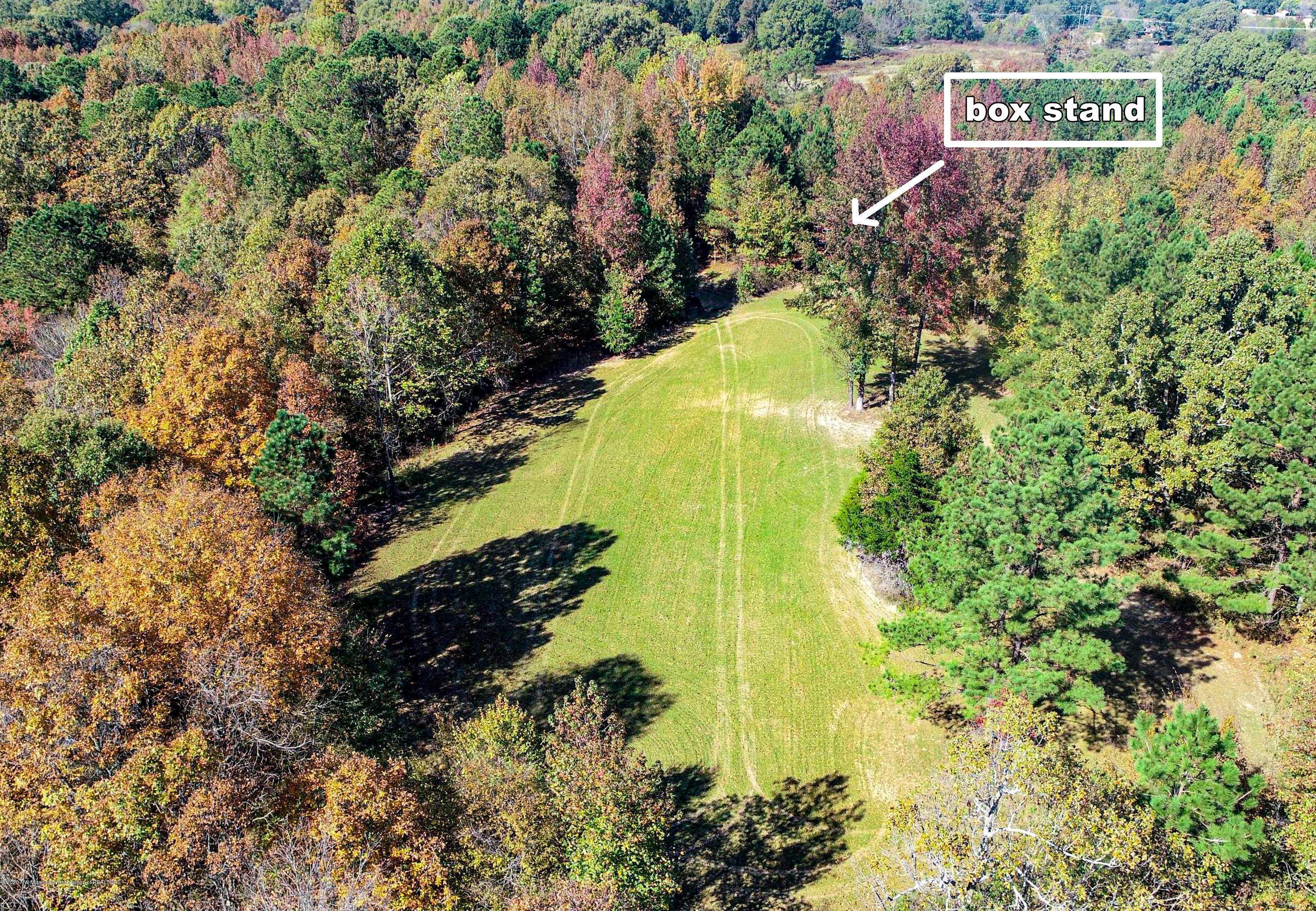 Xx Old Panola Road Sardis, MS 38666 - Photo 8 of 72 woldpan41.8