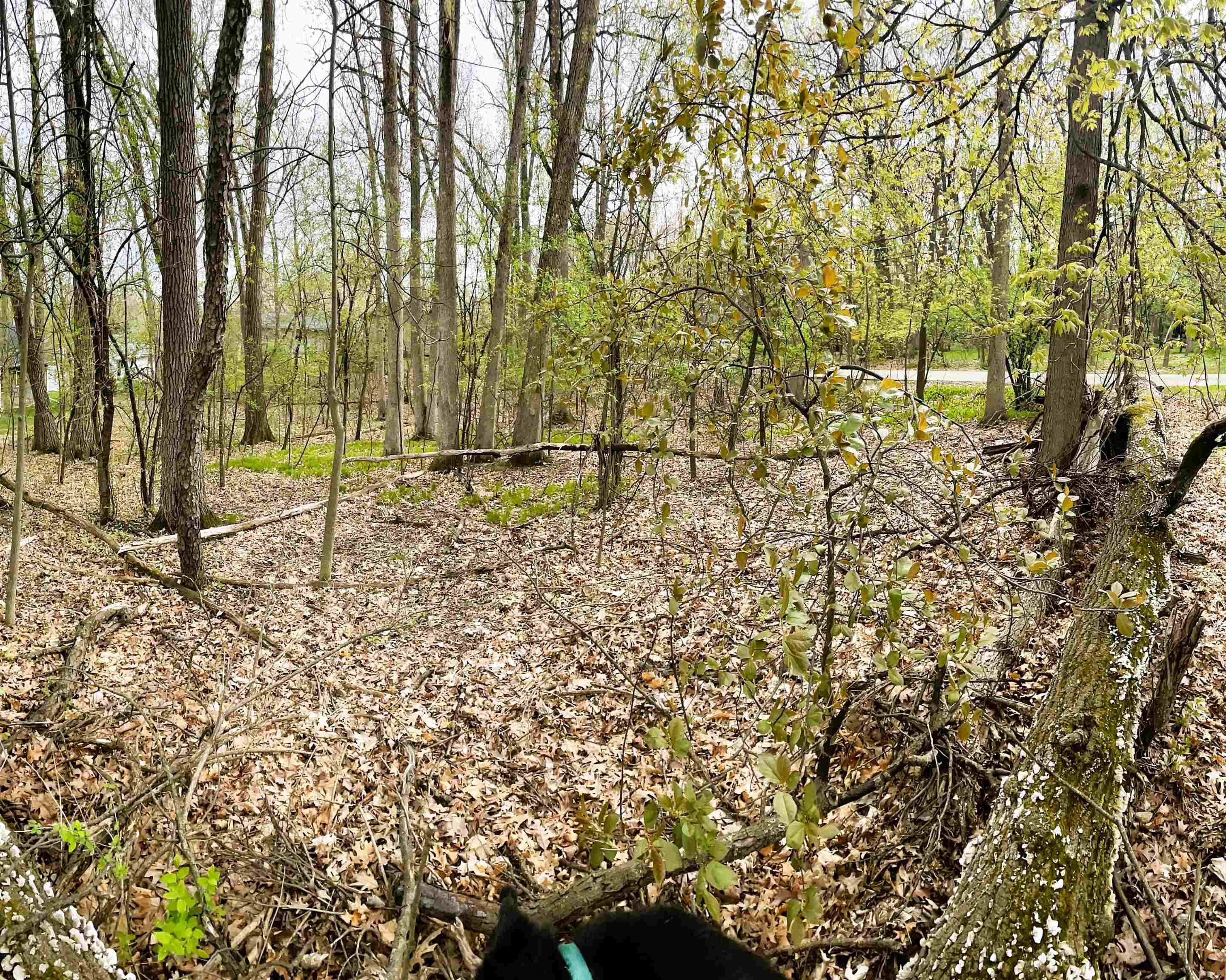 Jute Lake Geneva, WI 53147 - Photo 1 of 1